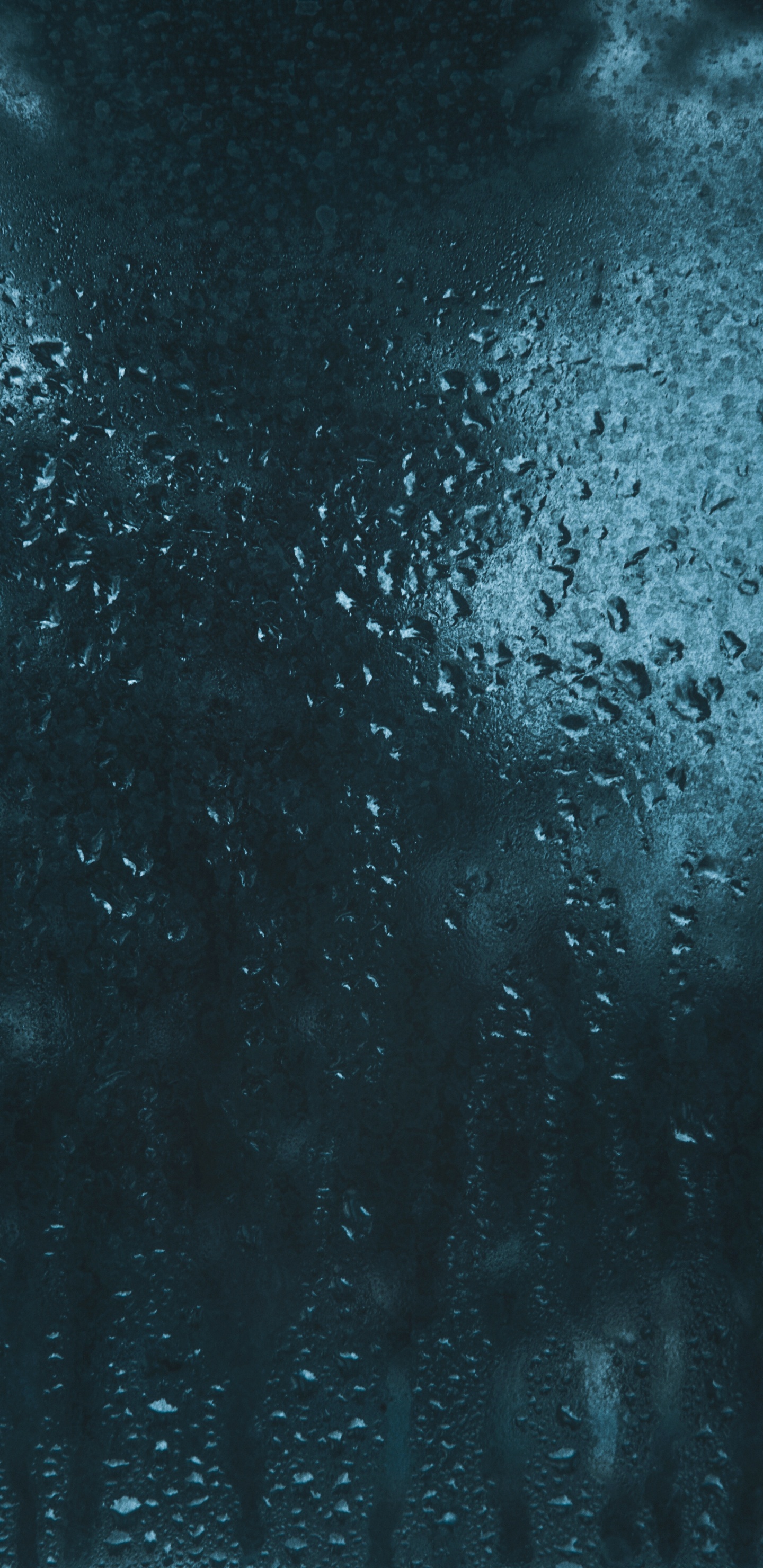 Обои синий, вода, черный, атмосфера, дождь в разрешении 1440x2960