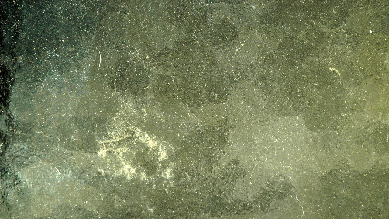 Обои текстура, стекло, зеленый, вода, архитектура в разрешении 1280x720