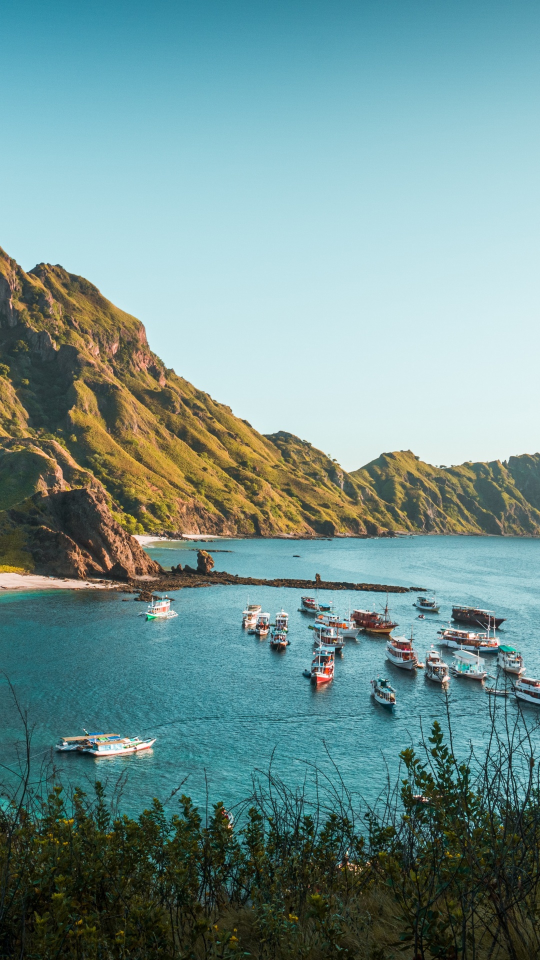 Обои национальный парк комодо, Комодо, остров Падар, Комодо дракон, Лабуан Баджо в разрешении 1080x1920