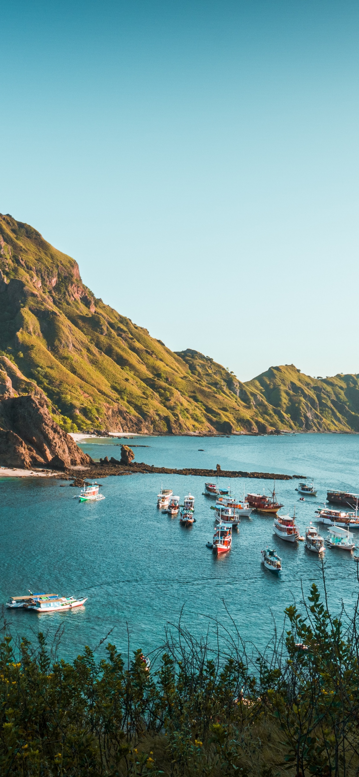 Обои национальный парк комодо, Комодо, остров Падар, Комодо дракон, Лабуан Баджо в разрешении 1242x2688