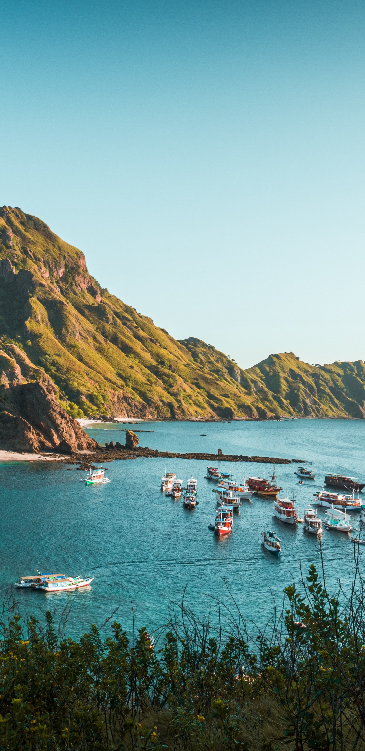 Обои национальный парк комодо, Комодо, остров Падар, Комодо дракон, Лабуан Баджо в разрешении 1440x2960