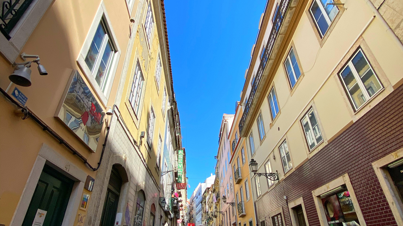 Обои аллея, недвижимость, квартира, дорога, окно в разрешении 1366x768