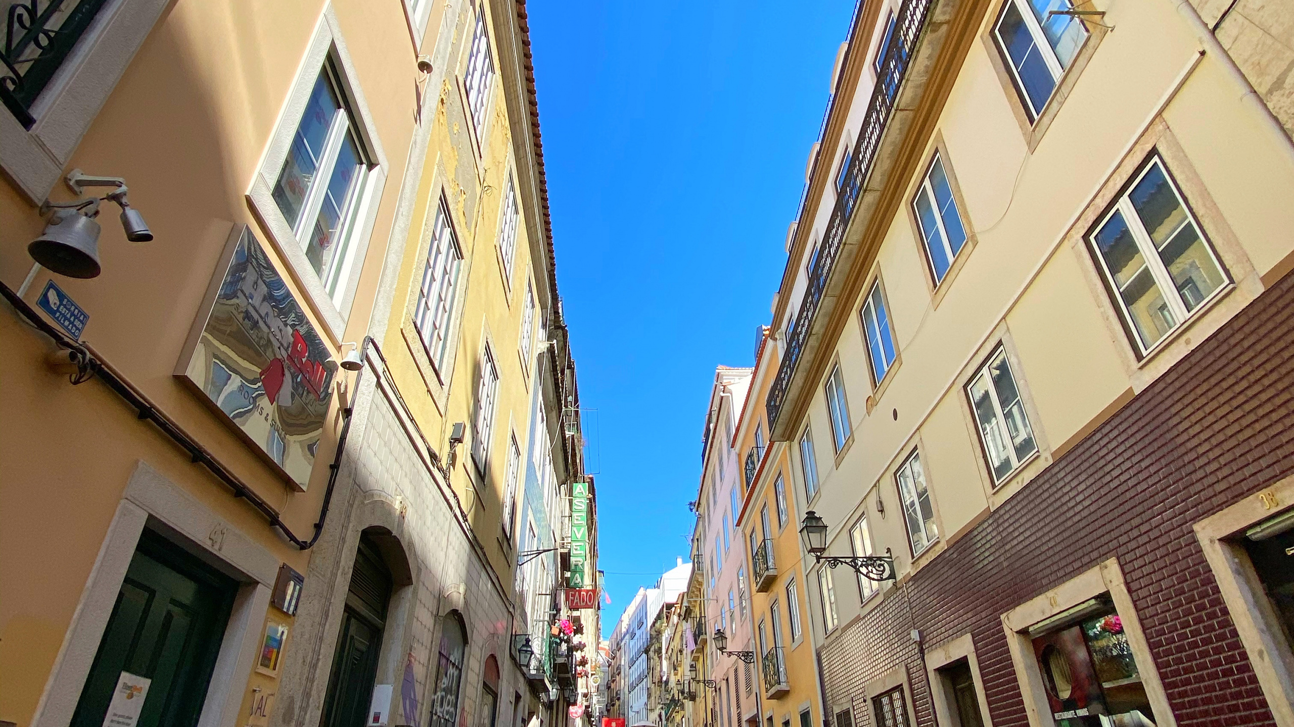 Обои аллея, недвижимость, квартира, дорога, окно в разрешении 2560x1440