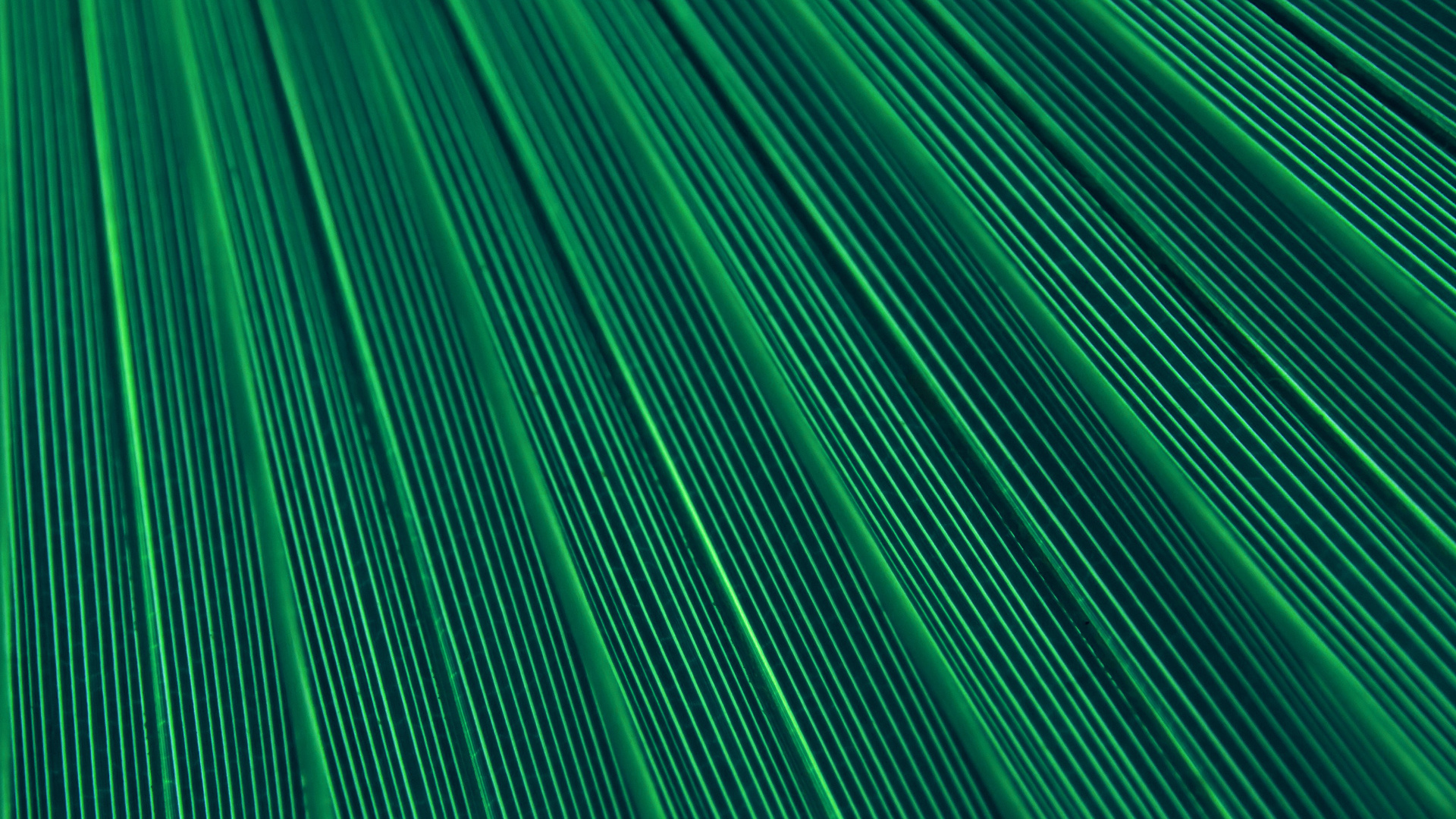 Обои узор, зеленый, линия, трава, книга в разрешении 1920x1080