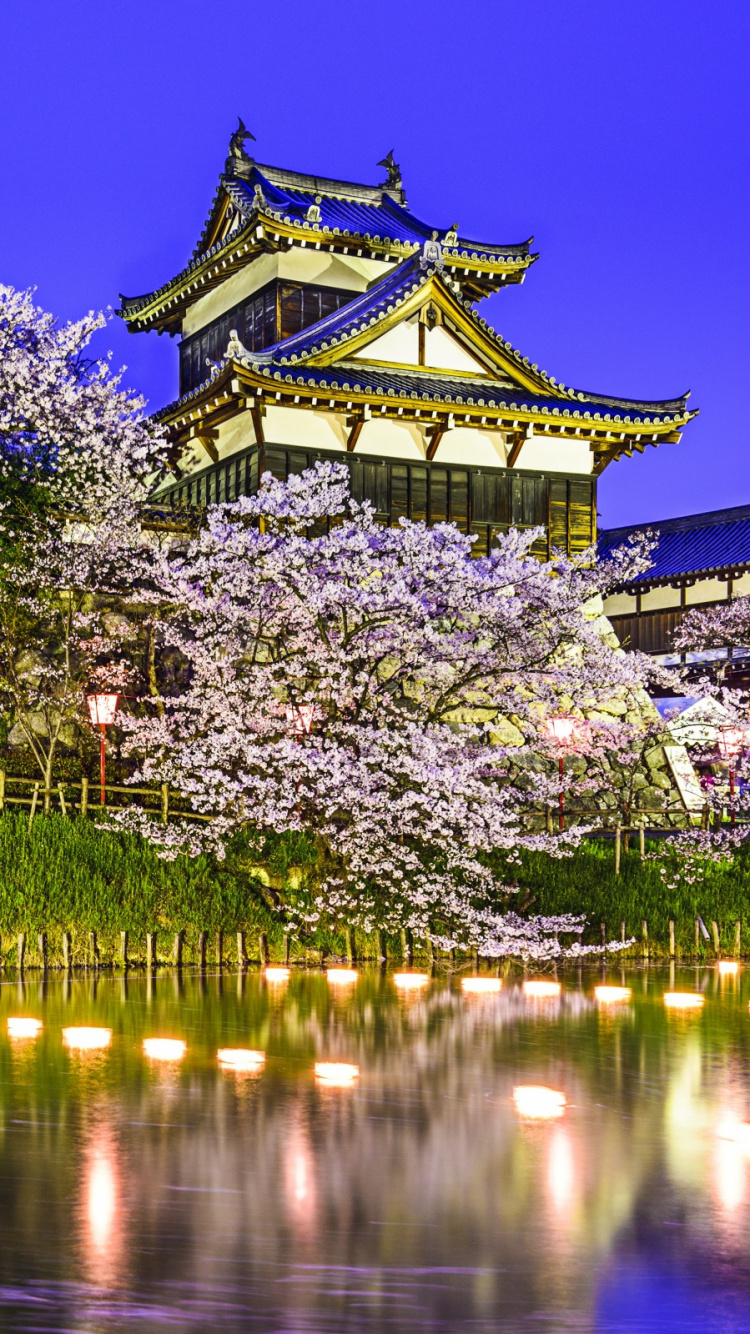 Обои Нара Япония, Нара, цветок, ориентир, весна в разрешении 750x1334