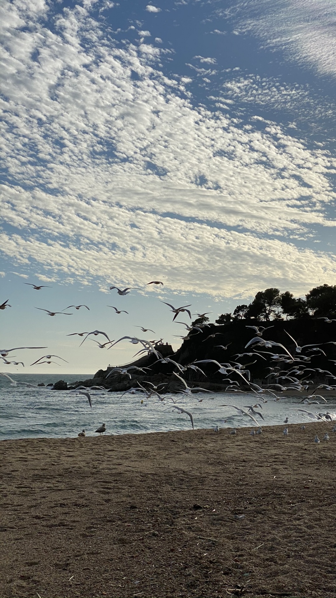 Обои пляж, вода, жидкость, облако, берег в разрешении 1080x1920