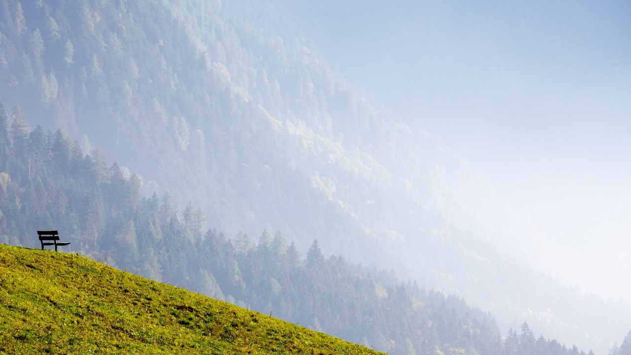 Обои пейзажи гор, Альпы, дерево, сенокосное угодье, растение в разрешении 1280x720