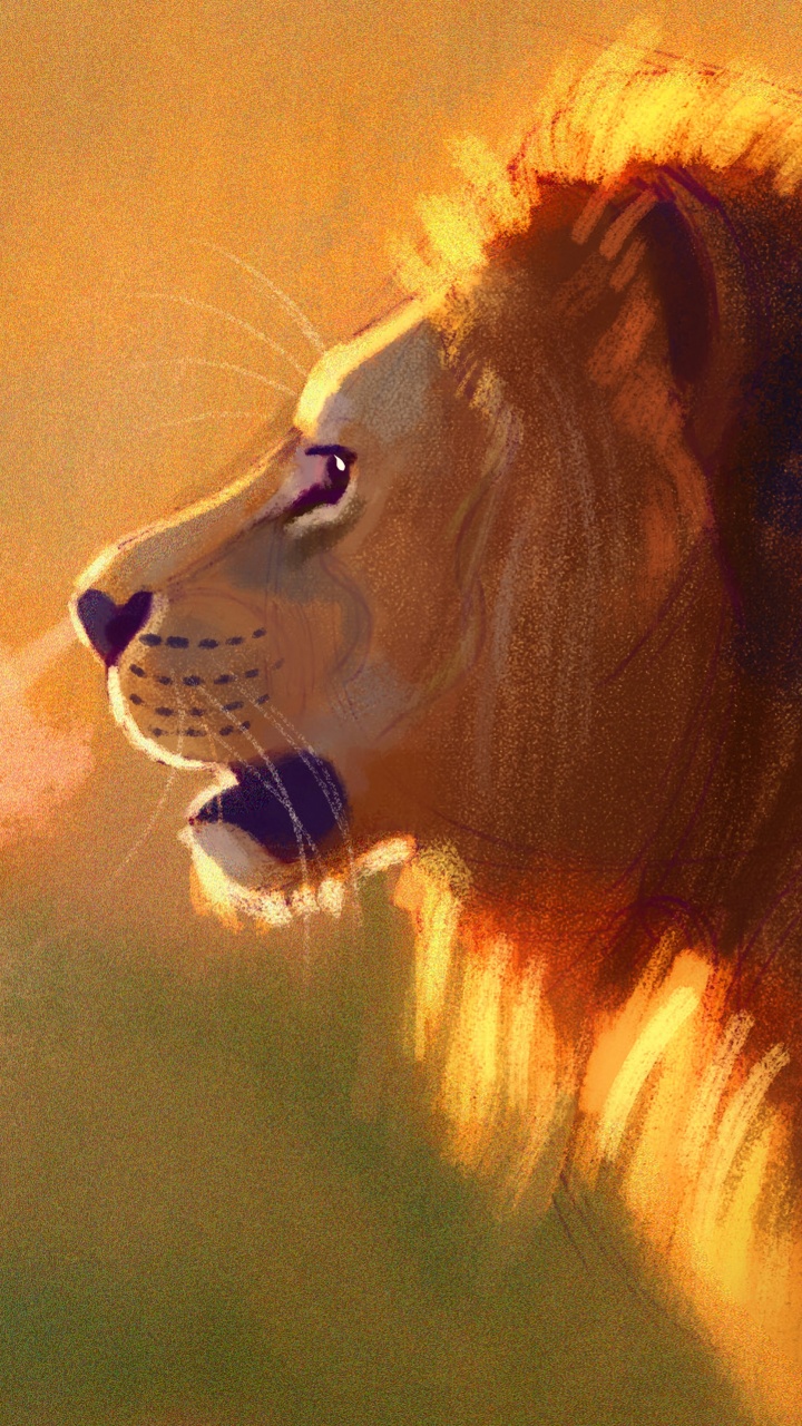 Обои Лев, живая природа, масаи Лев, кошачьих, морда в разрешении 720x1280