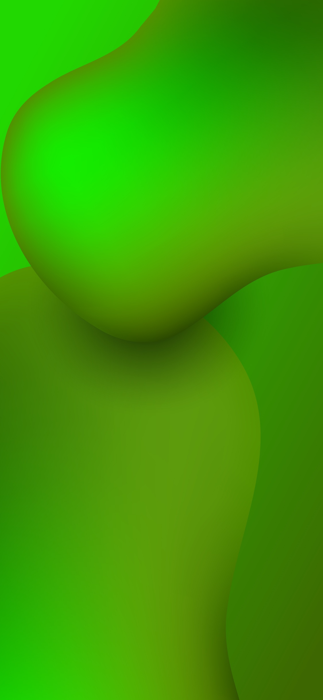 Обои растение, полутона и оттенки, узор, арт, фрукты в разрешении 1125x2436