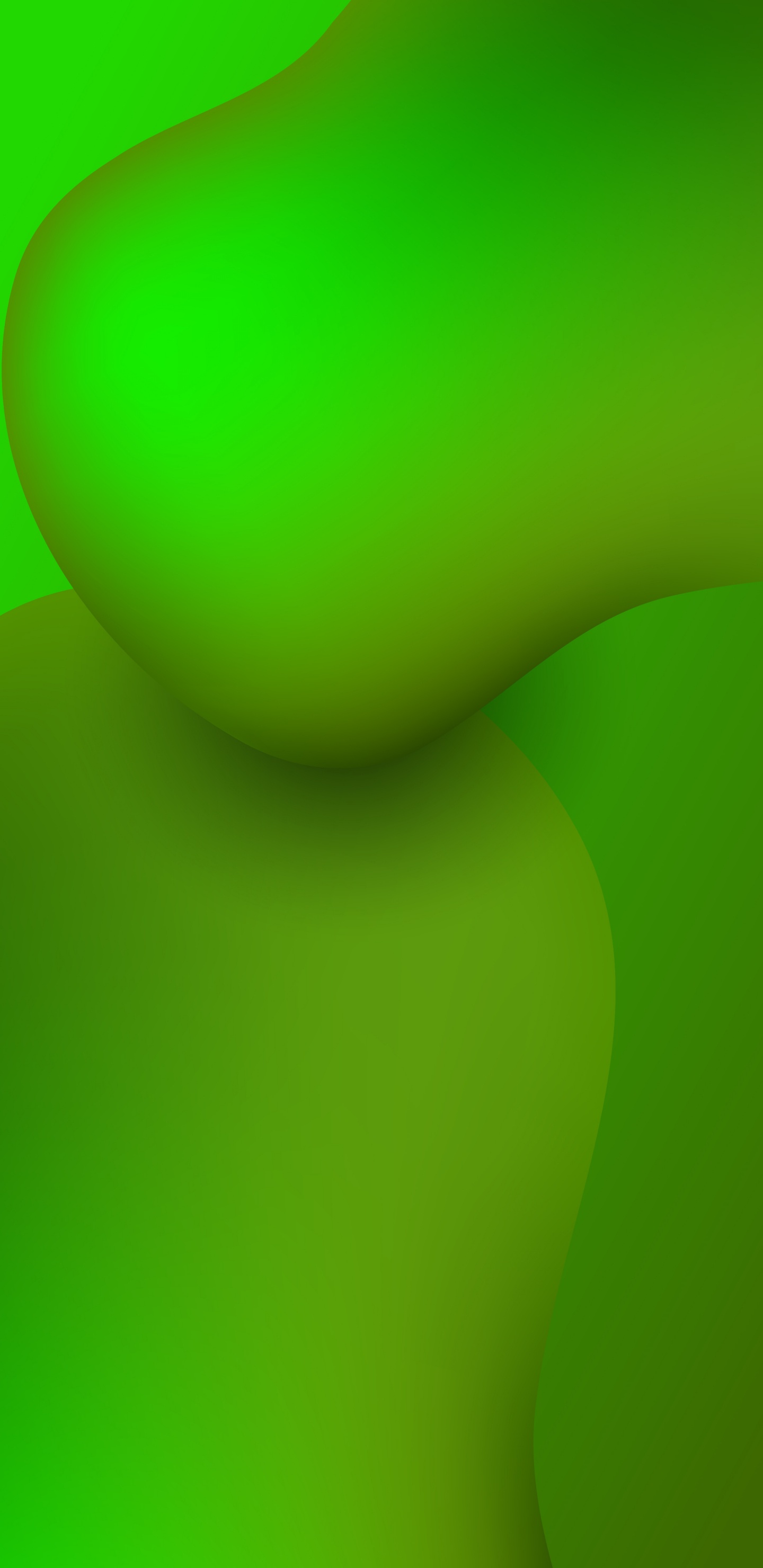 Обои растение, полутона и оттенки, узор, арт, фрукты в разрешении 1440x2960