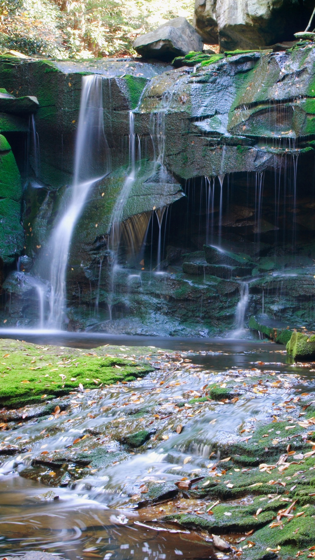 Обои Elakala Падает, водопад, парк, водоем, гидроресурсы в разрешении 1080x1920