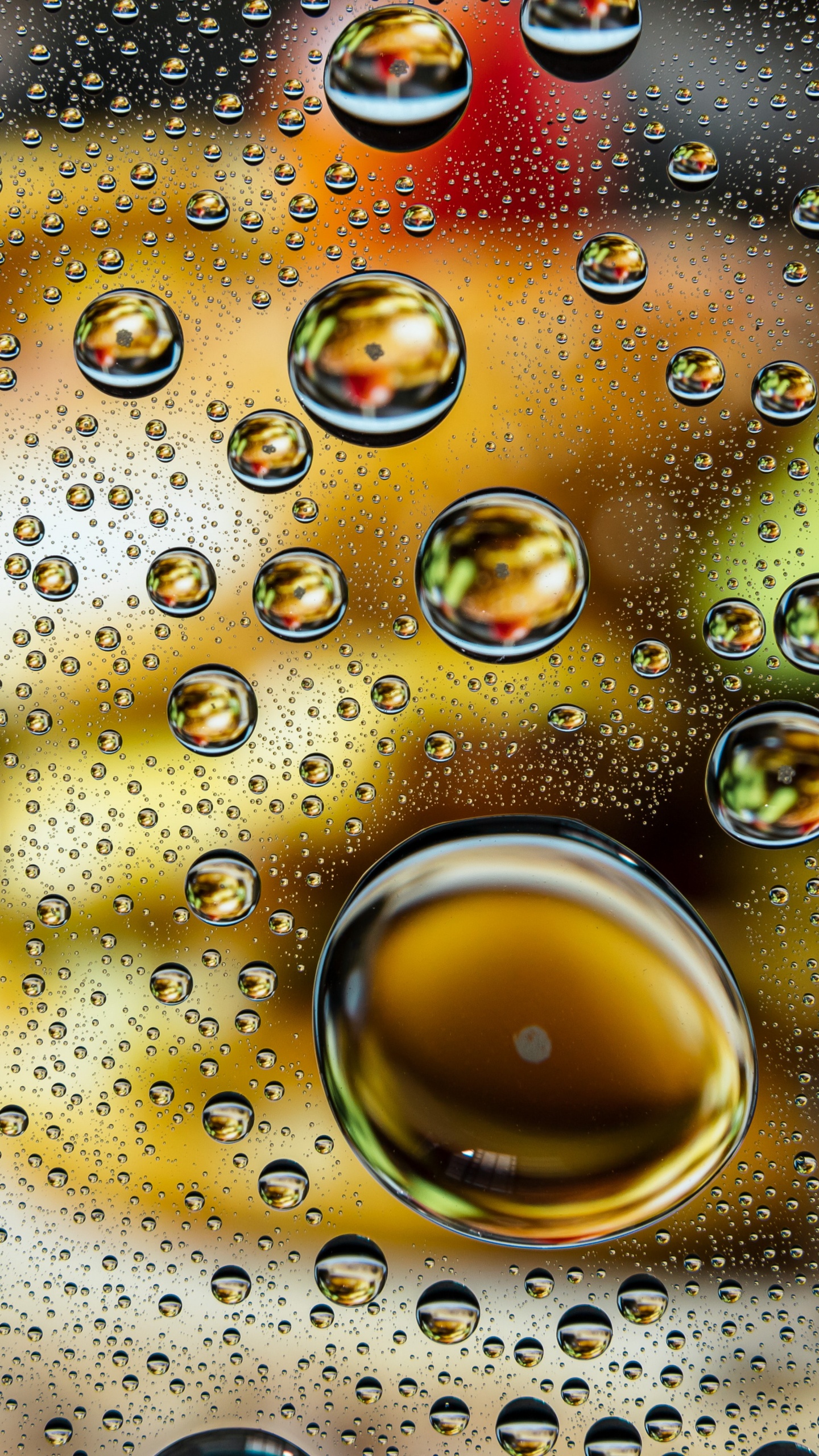 Обои иллюстрация, вода, жидкий, природа, жидкость в разрешении 1440x2560