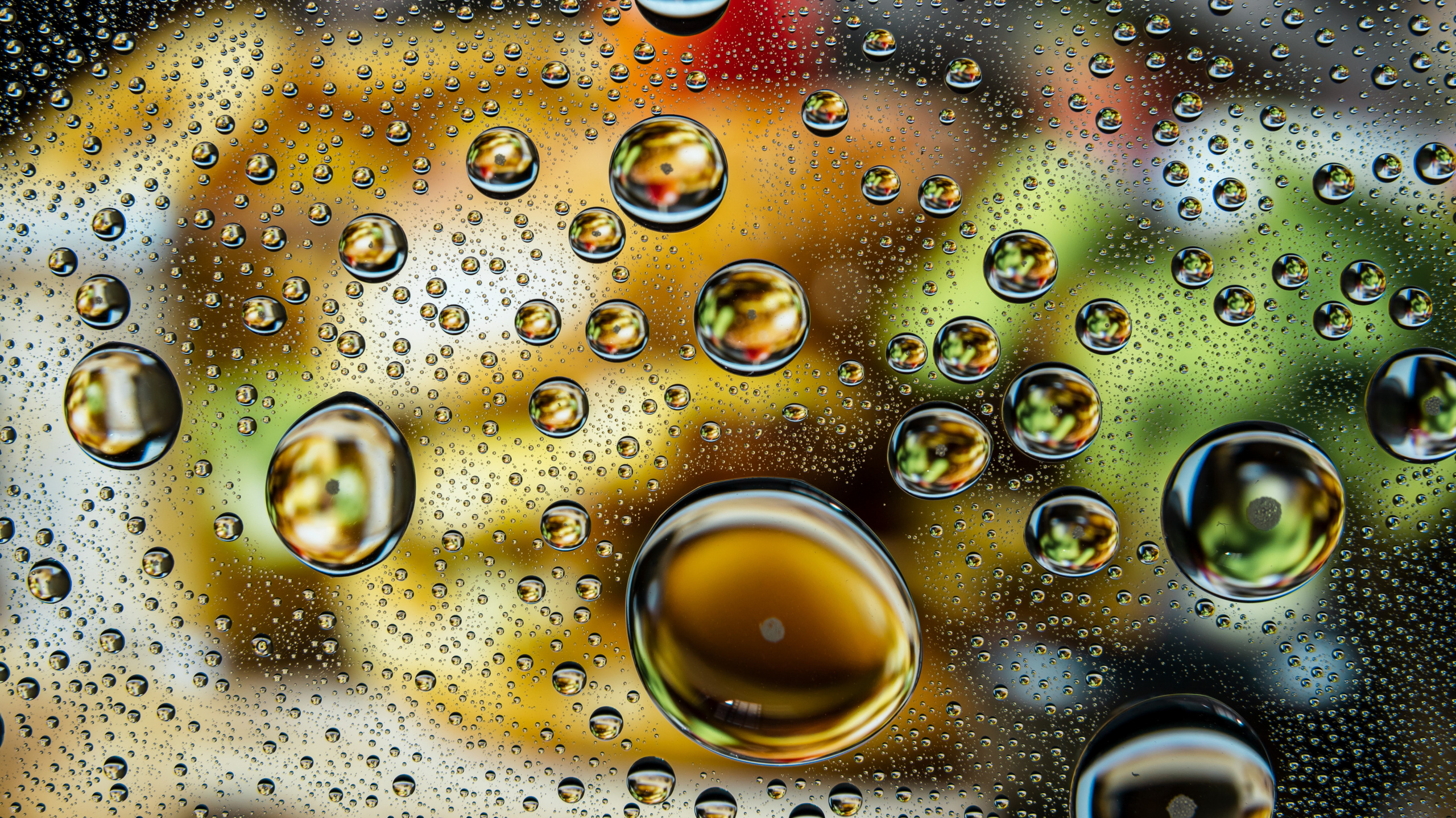 Обои иллюстрация, вода, жидкий, природа, жидкость в разрешении 2560x1440