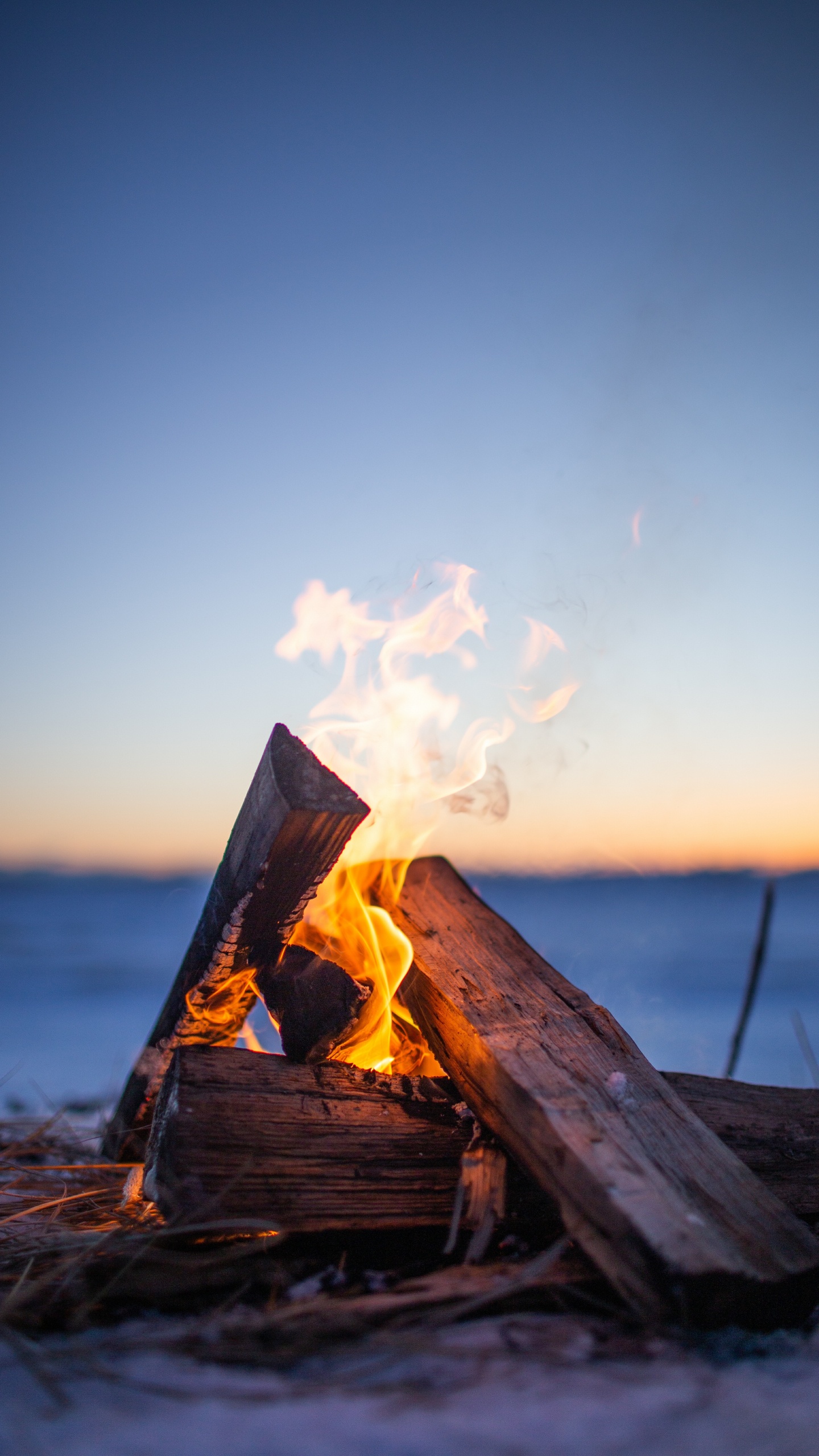 Обои костер, огонь, тепло, древесина, пламя в разрешении 1440x2560