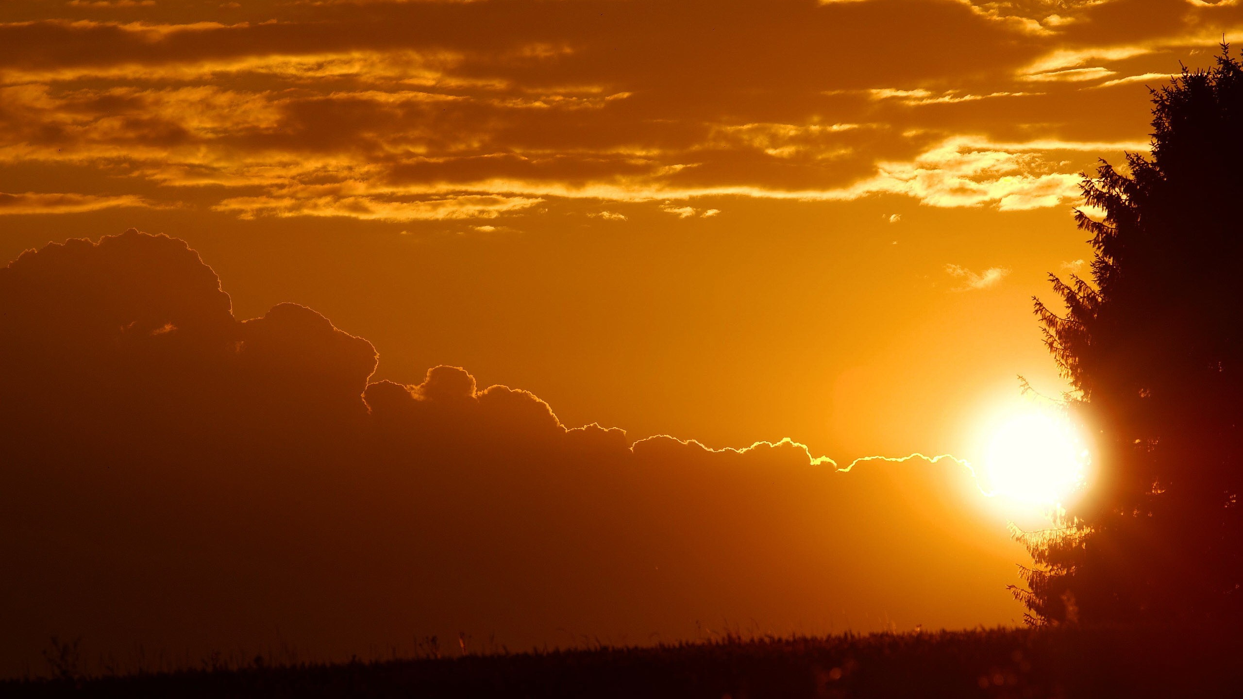 Обои закат, солнце, послесвечение, восход солнца, горизонт в разрешении 2560x1440