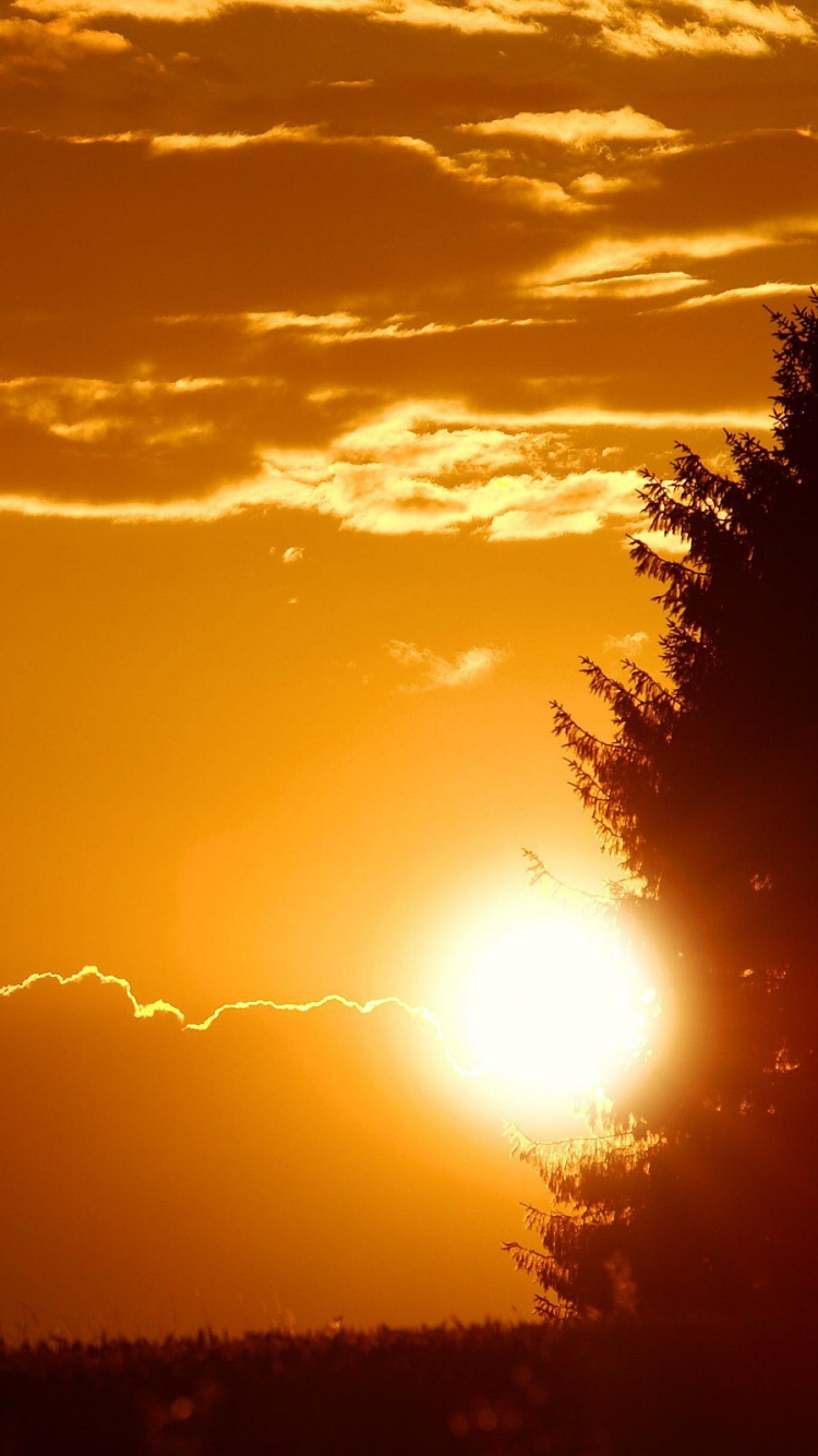 Обои закат, солнце, послесвечение, восход солнца, горизонт в разрешении 750x1334