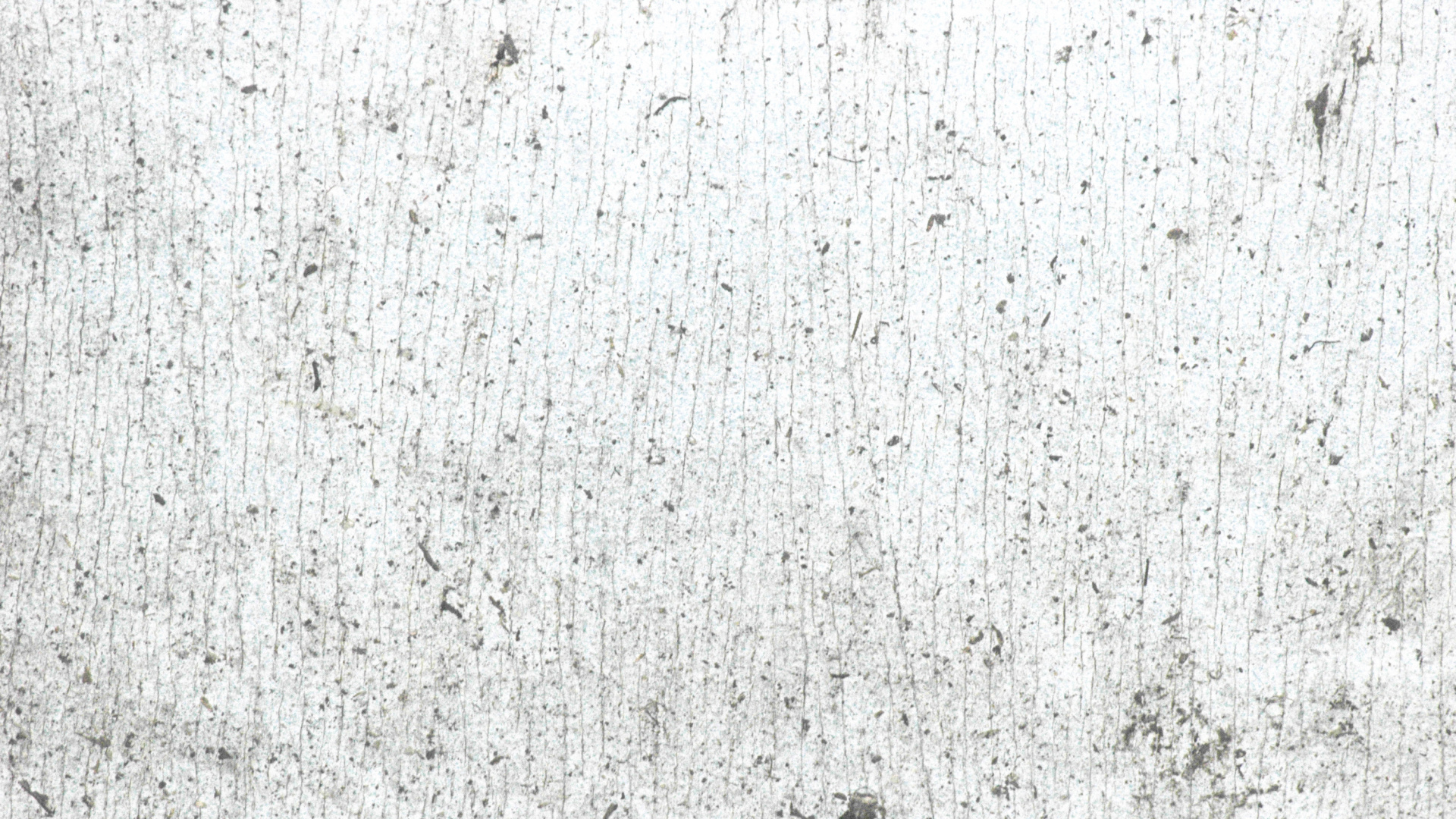 Обои бетон, узор, монохромный, черный и белый, монохромный режим в разрешении 1920x1080