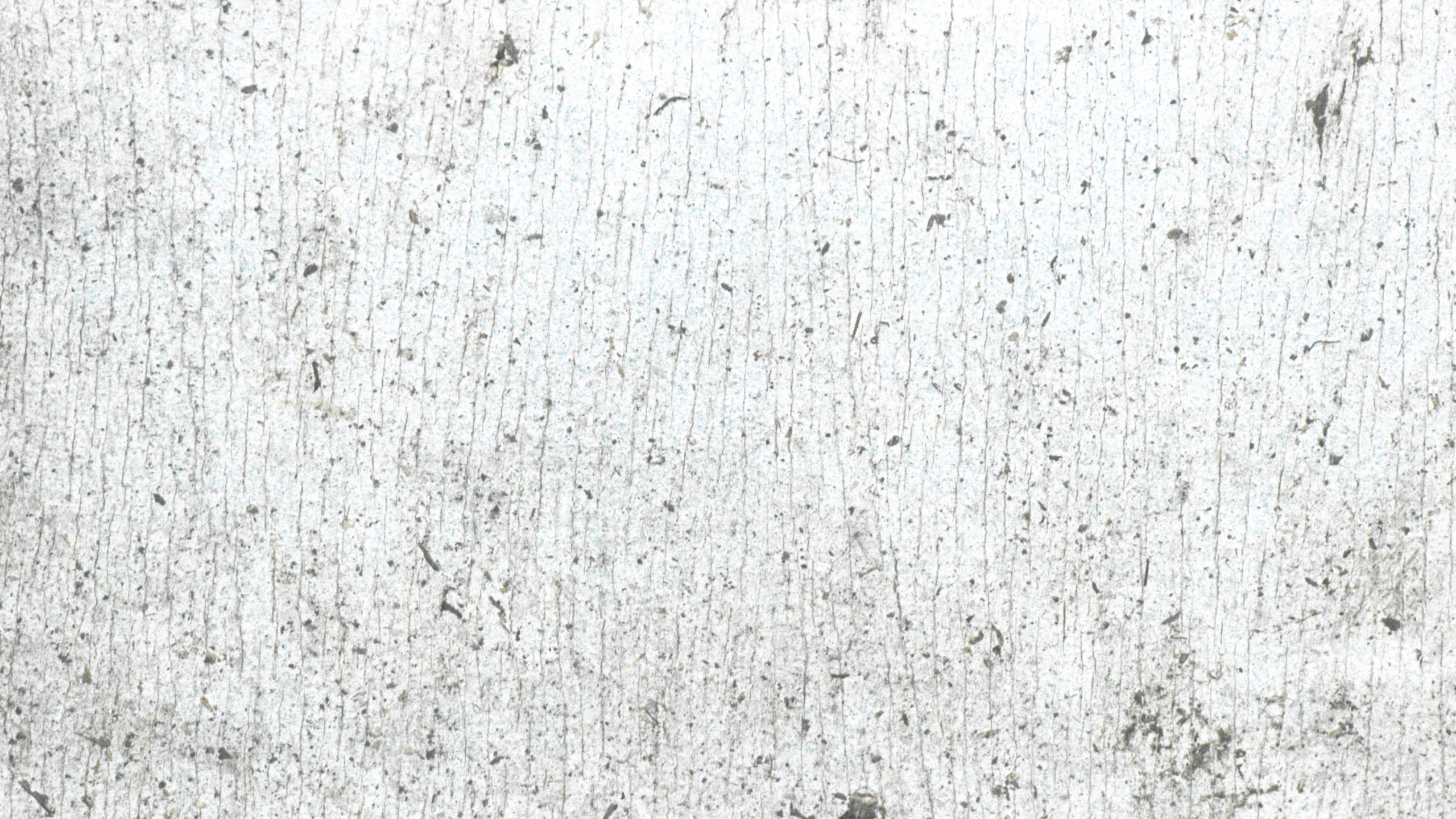 Обои бетон, узор, монохромный, черный и белый, монохромный режим в разрешении 2560x1440