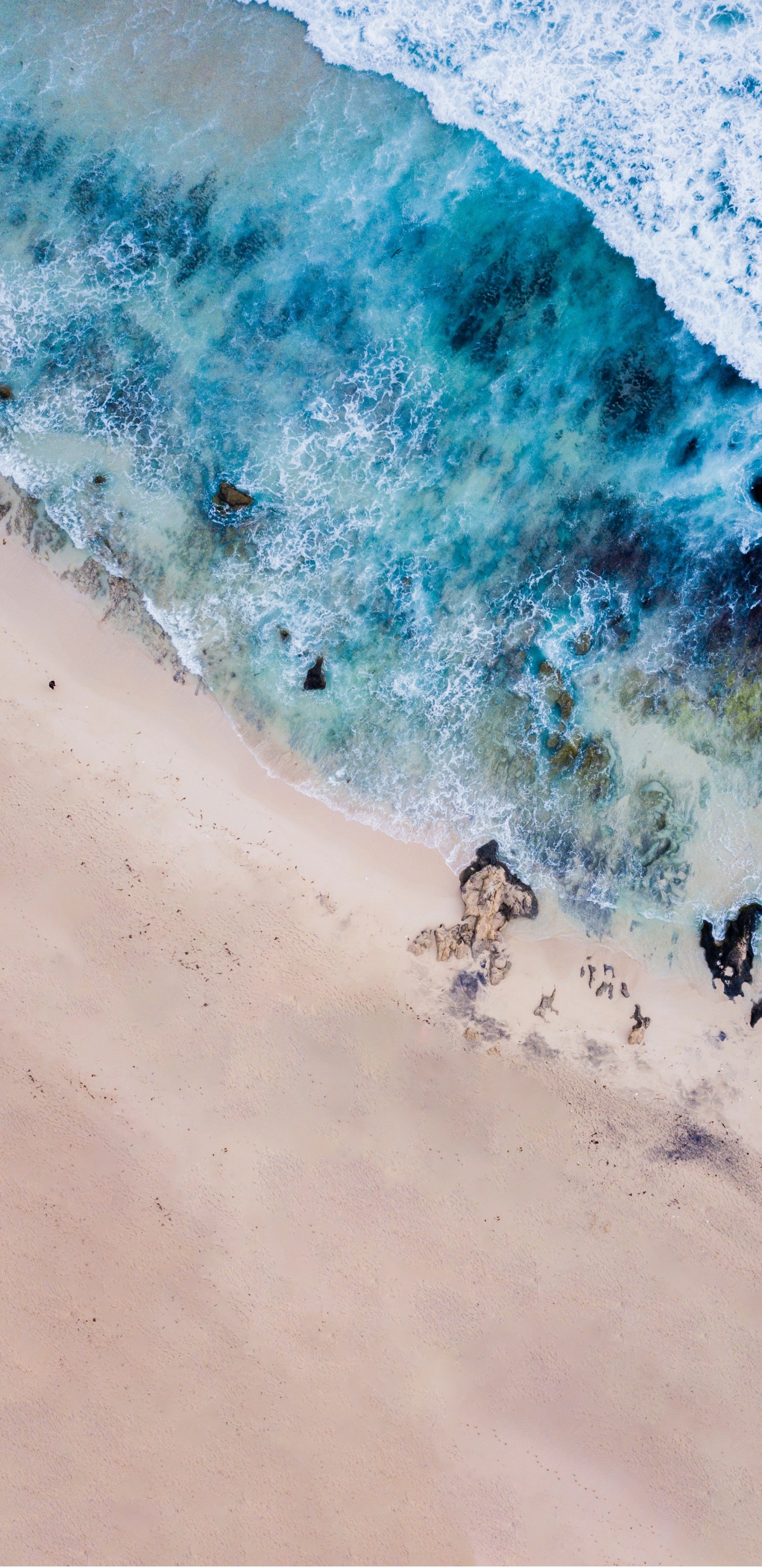 Обои пляж, Марли Бич, море, живопись, вода в разрешении 1440x2960