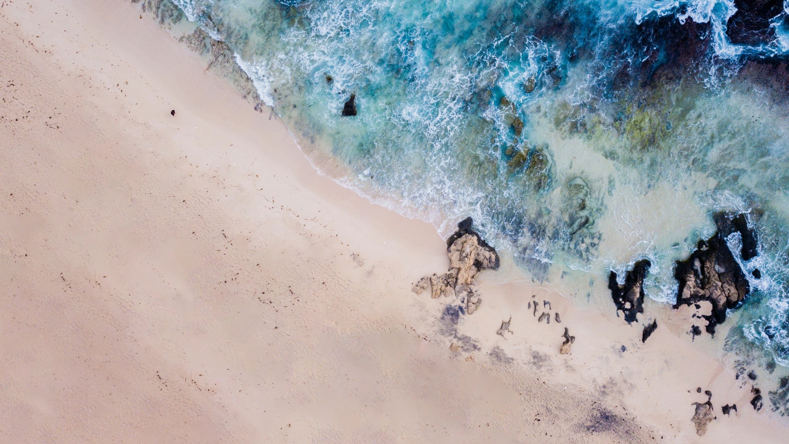 Обои пляж, Марли Бич, море, живопись, вода в разрешении 2560x1440