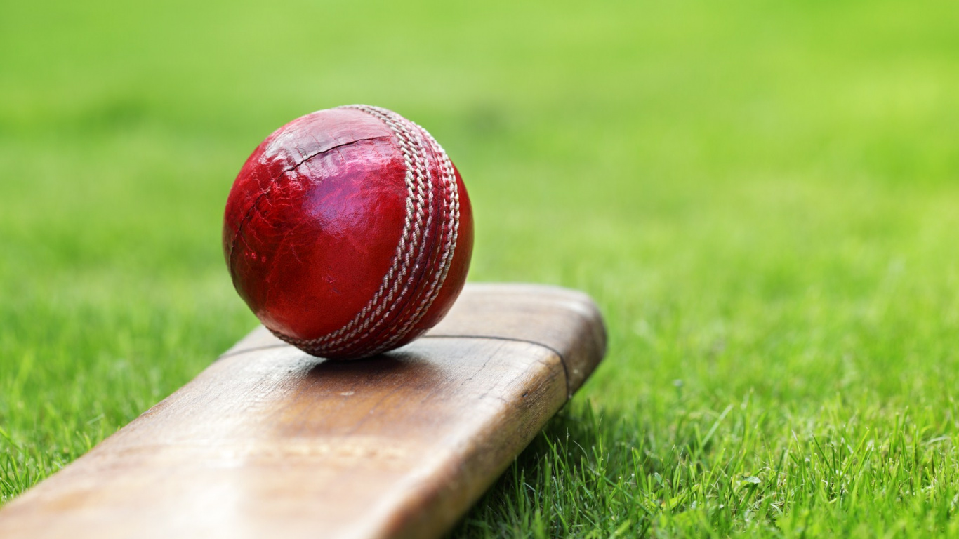 Обои крикет, мяч, ватин, игра с мячом, занятие спортом в разрешении 1366x768