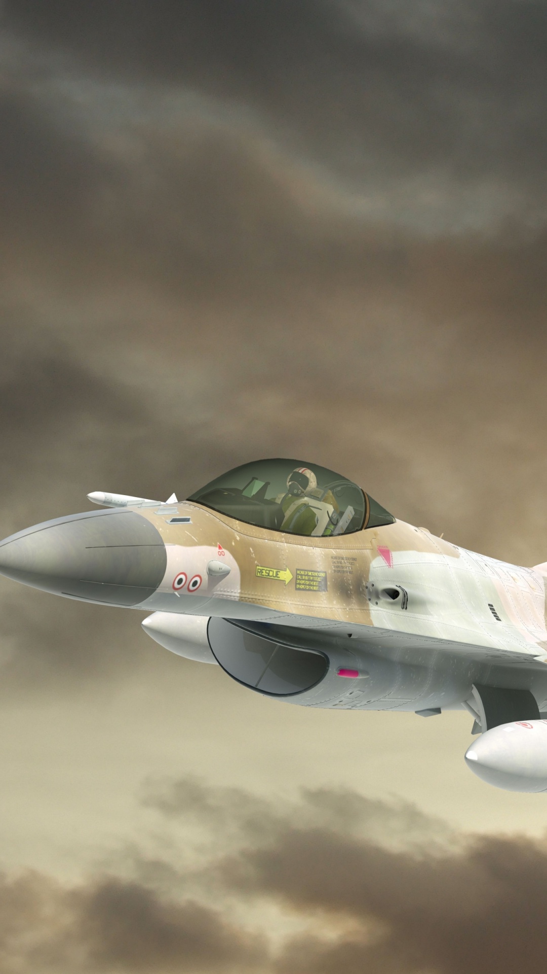 Обои истребительная авиация, самолеты, реактивный самолет, авиация, самолет в разрешении 1080x1920