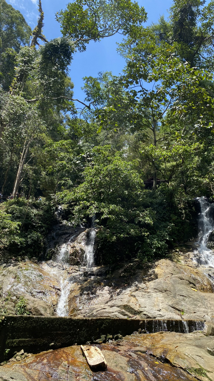 Обои водопад, природа, гидроресурсы, природный ландшафт, поток в разрешении 750x1334