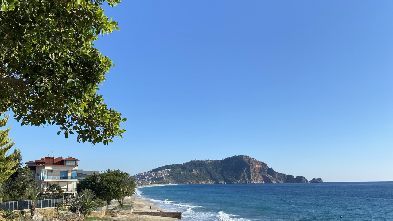 Обои побережье, вода, растение, гидроресурсы, дерево в разрешении 1280x720