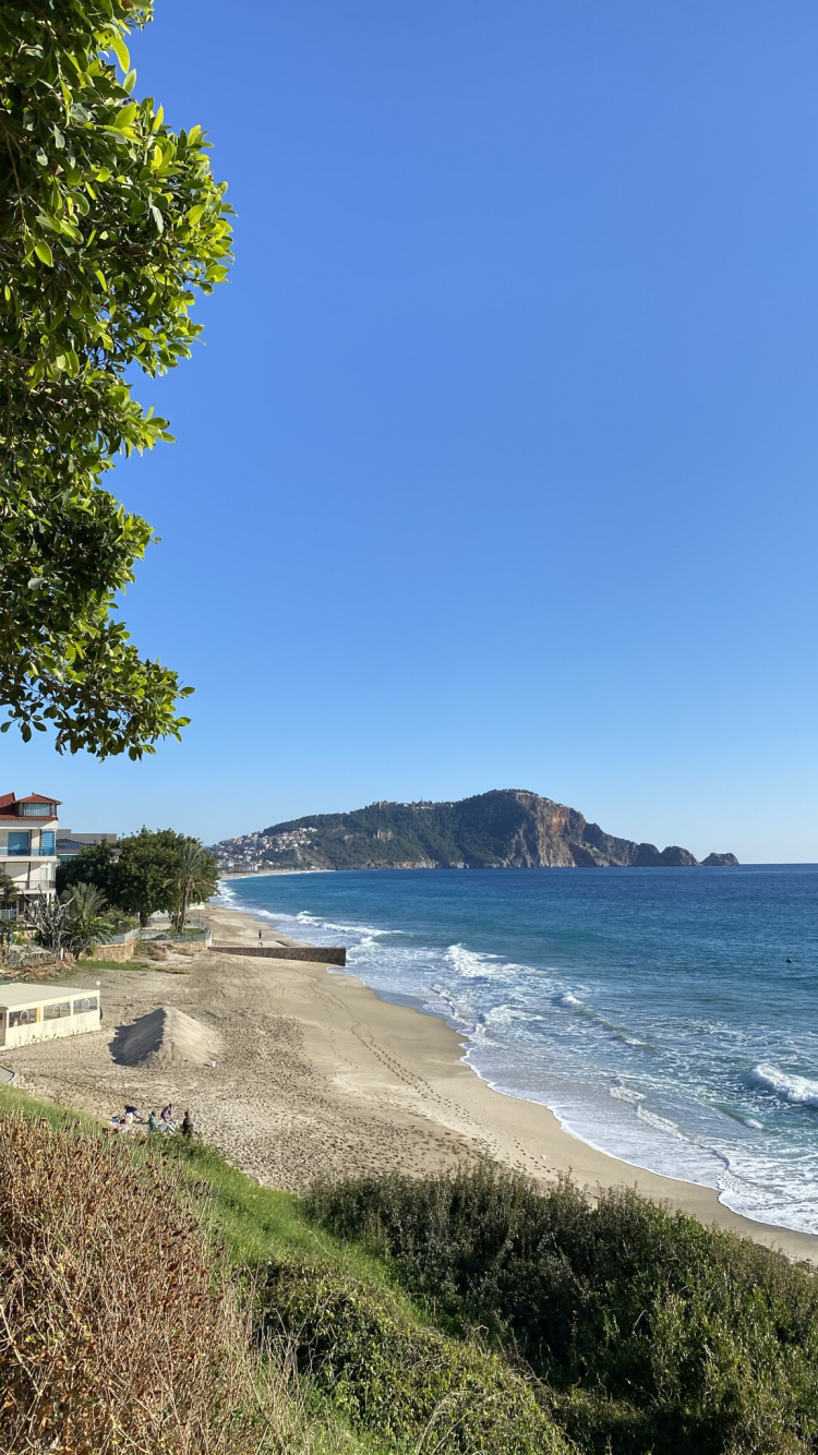 Обои побережье, вода, растение, гидроресурсы, дерево в разрешении 750x1334