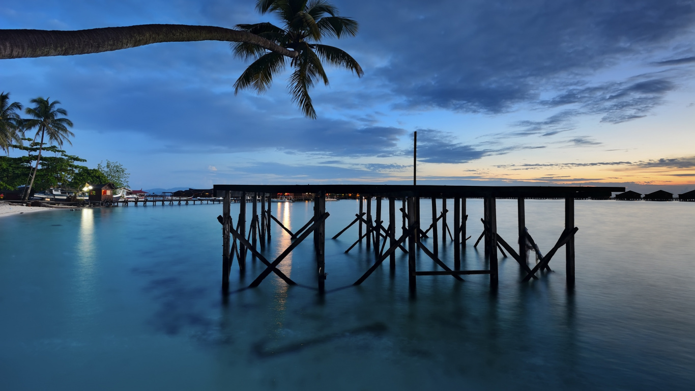 Обои пальмовые рощи, море, вода, отражение, Пальма в разрешении 1366x768