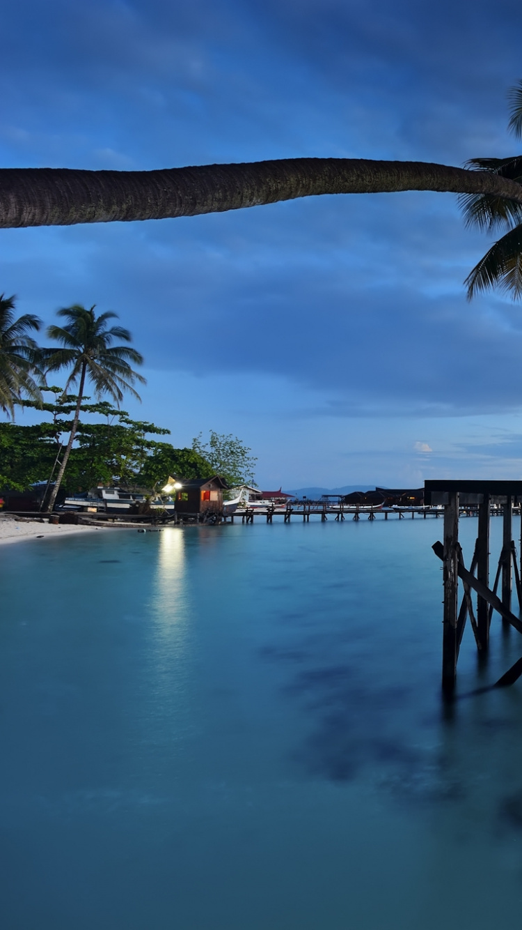 Обои пальмовые рощи, море, вода, отражение, Пальма в разрешении 750x1334