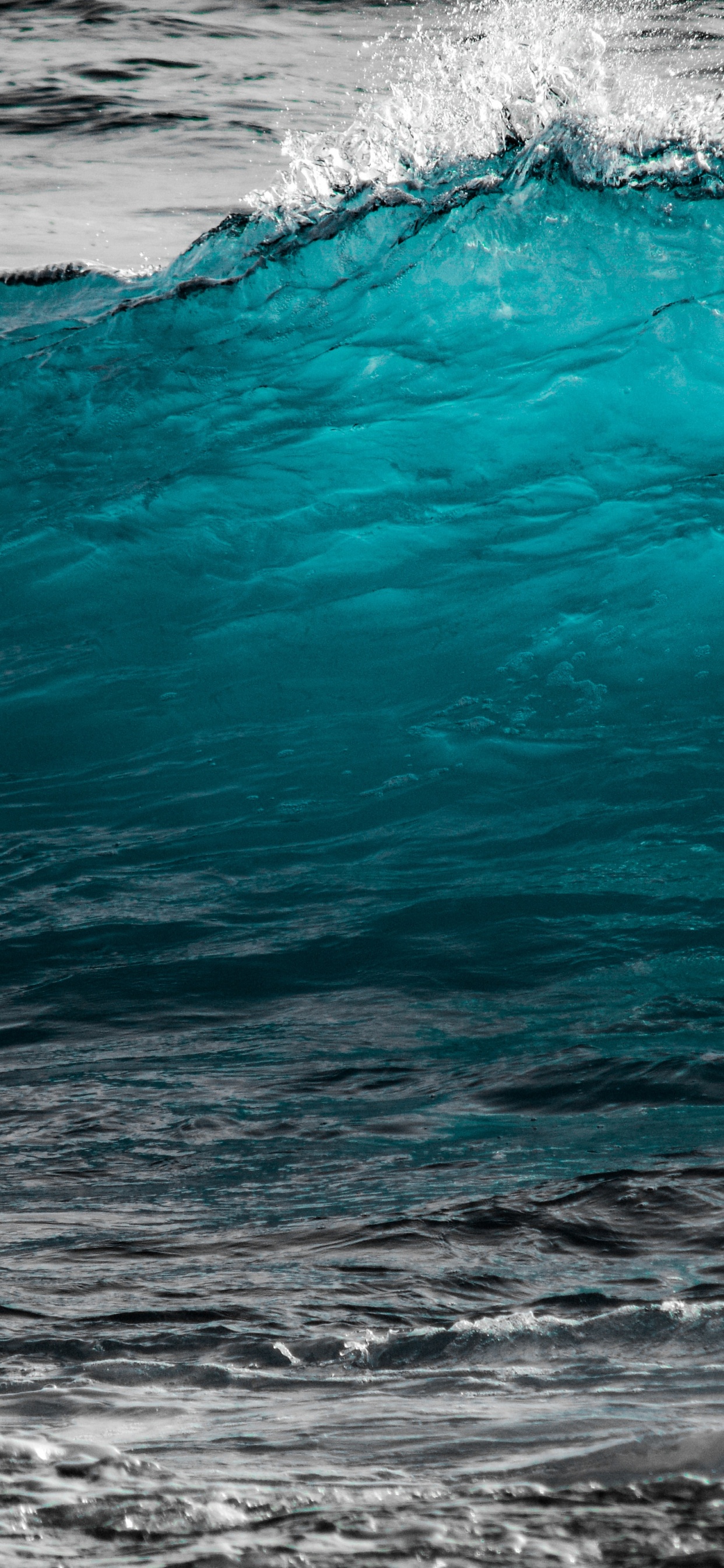 Обои волна, ветровая волна, вода, море, океан в разрешении 1242x2688