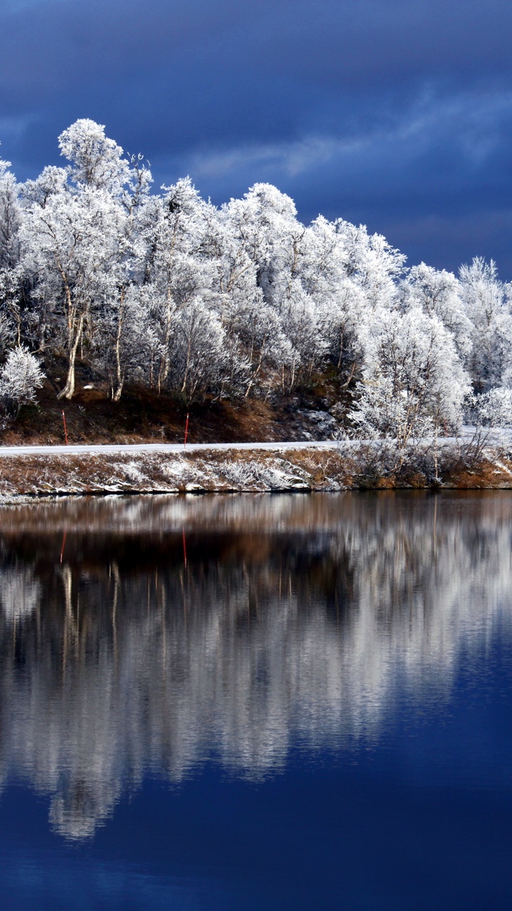 Обои природа, отражение, зима, вода, мороз в разрешении 720x1280