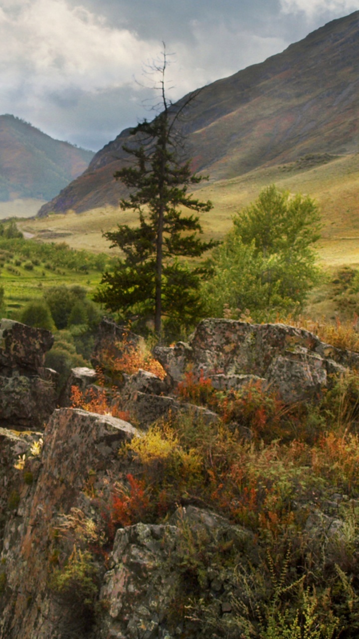 Обои природа, горный рельеф, нагорье, дикая местность, растительность в разрешении 720x1280