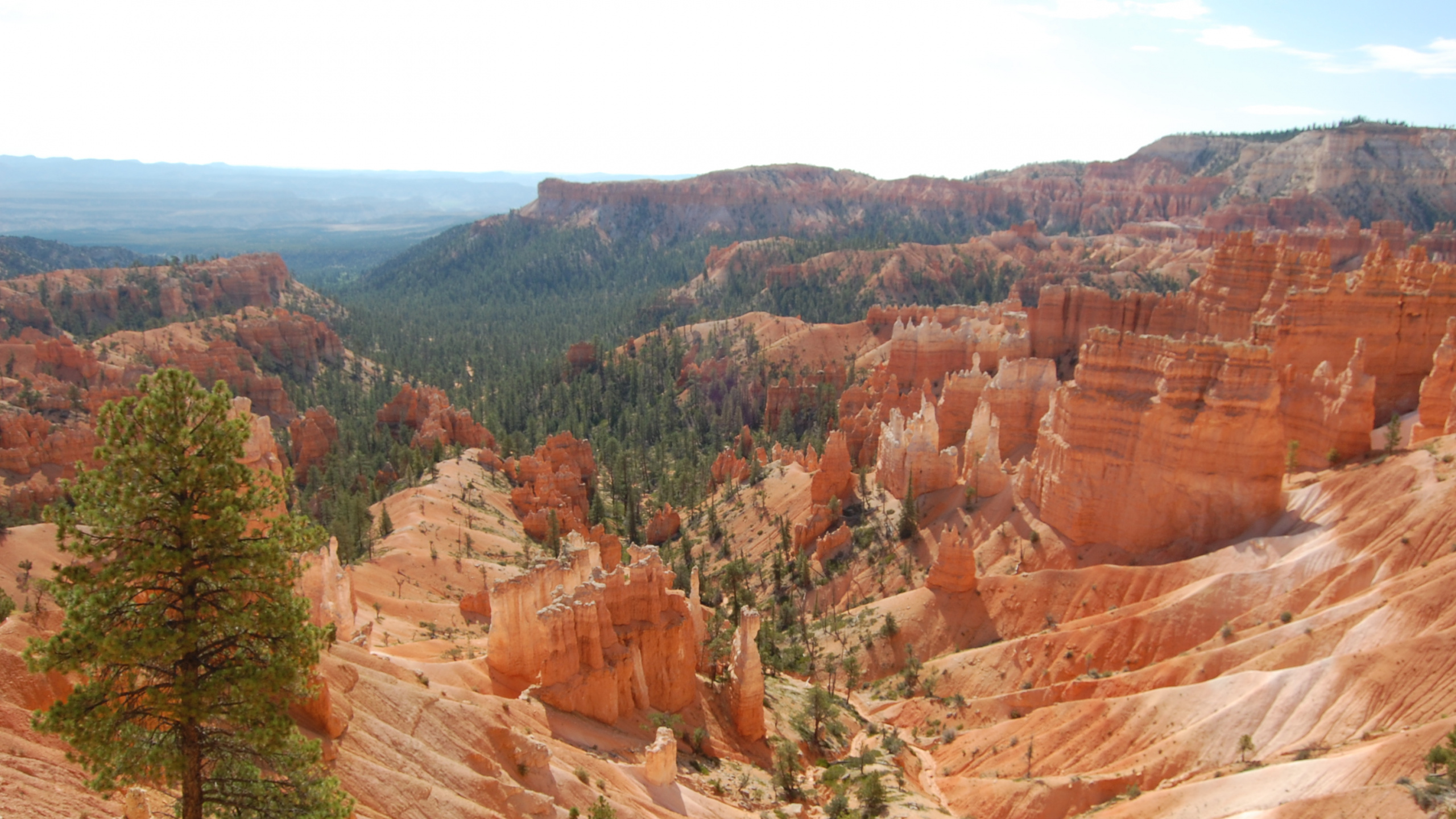 Обои национальный парк Брайсканьон, национальный парк, каньон, бесплодные земли, формирование в разрешении 2560x1440