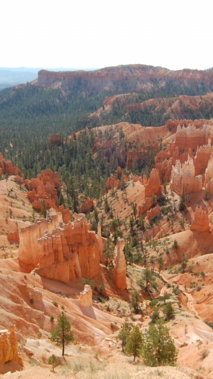 Обои национальный парк Брайсканьон, национальный парк, каньон, бесплодные земли, формирование в разрешении 720x1280