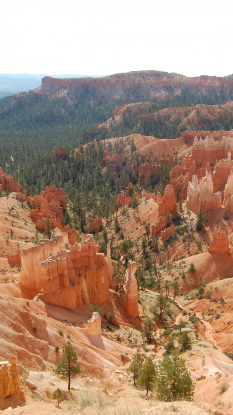 Обои национальный парк Брайсканьон, национальный парк, каньон, бесплодные земли, формирование в разрешении 750x1334