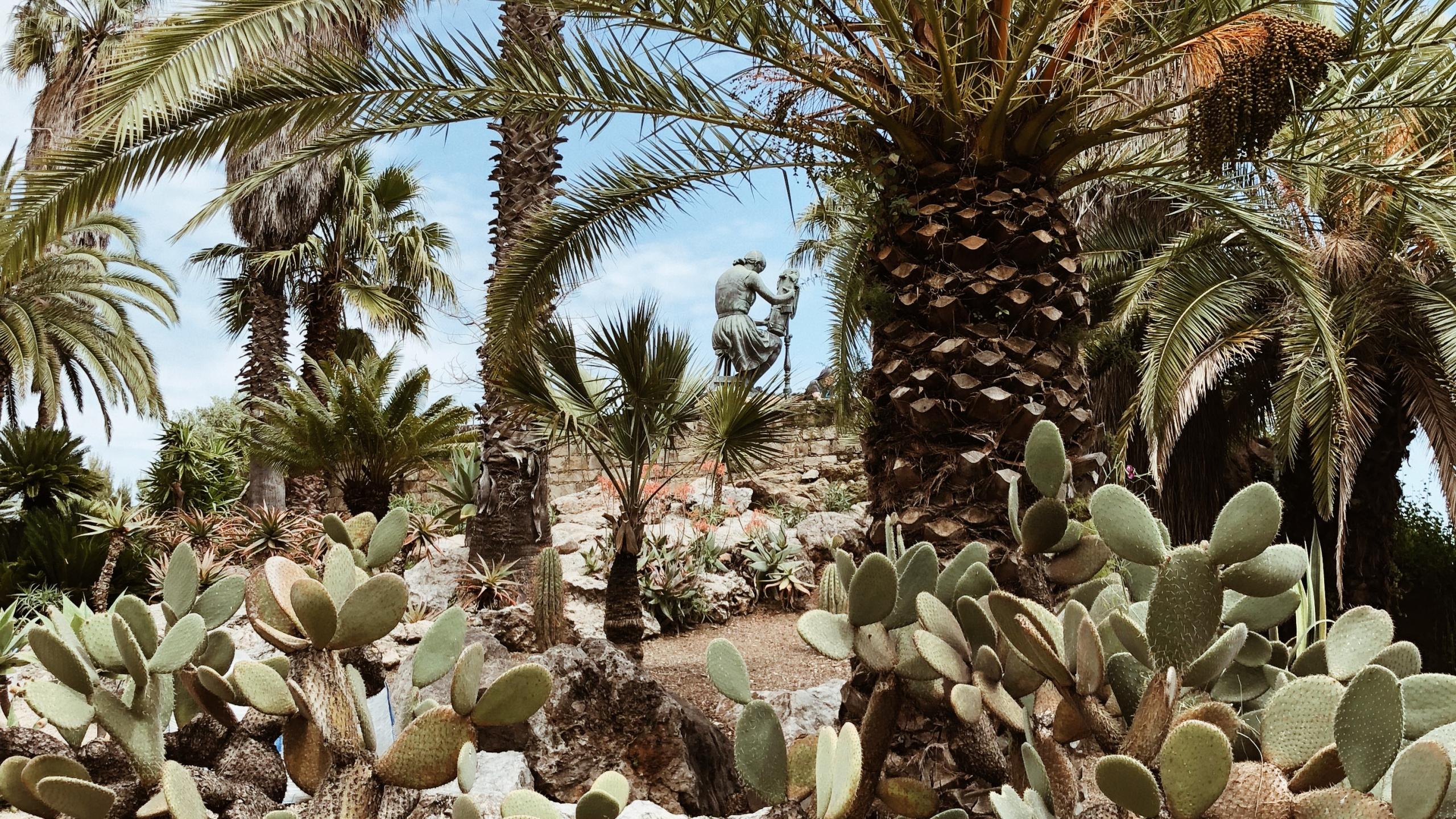 Обои растительность, биом, кустарник, Масло пальмы, экология в разрешении 2560x1440