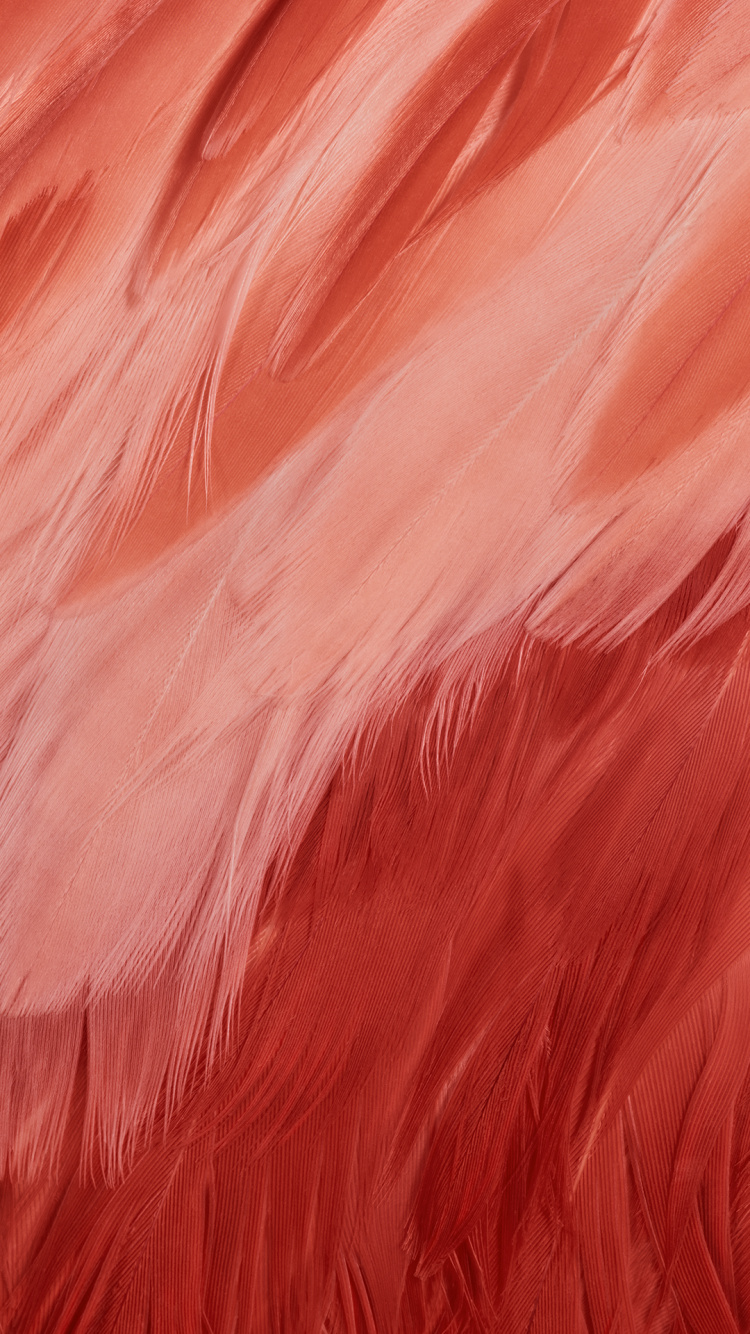 Обои пиксель 7, Google, пиксель 6а, пиксель 8, Google Pixel XL в разрешении 750x1334