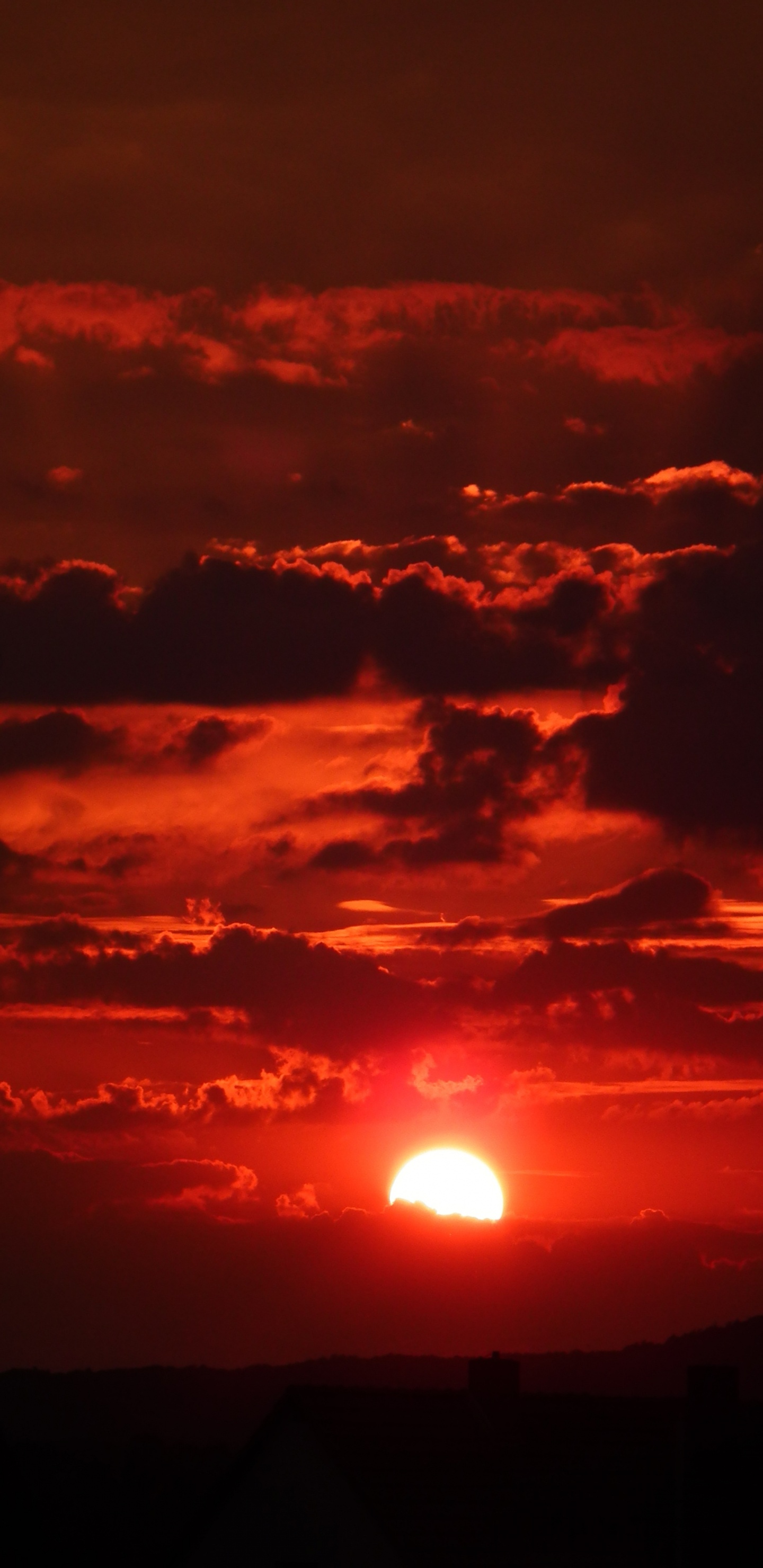 Обои красный цвет, горизонт, красный облачное небо, вечер, послесвечение в разрешении 1440x2960