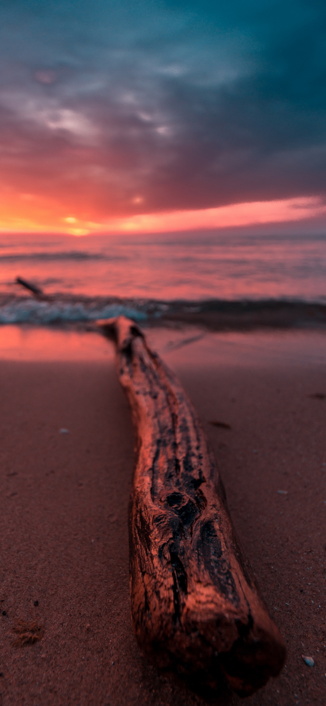 Обои закат, вода, море, облако, океан в разрешении 1125x2436