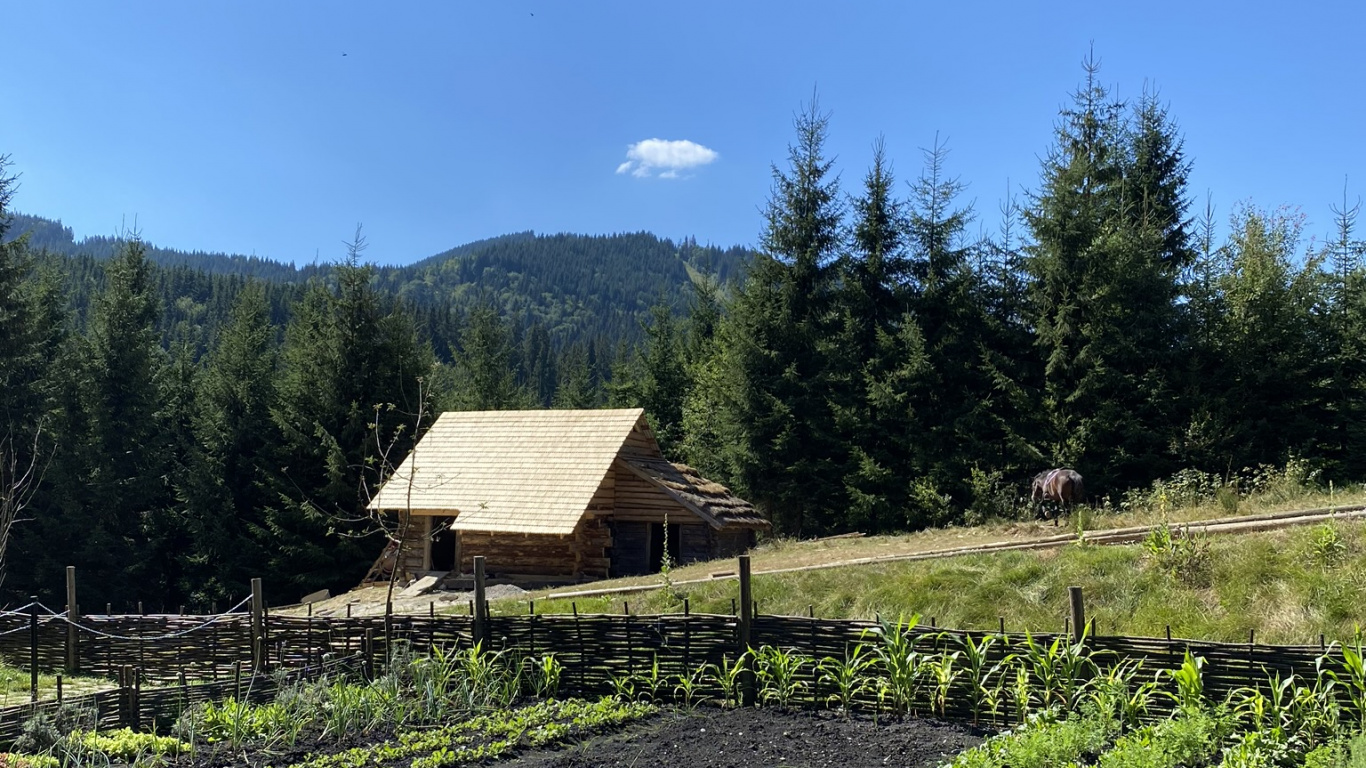 Обои поле, растение, сельское хозяйство, Ферма, сельский район в разрешении 1366x768