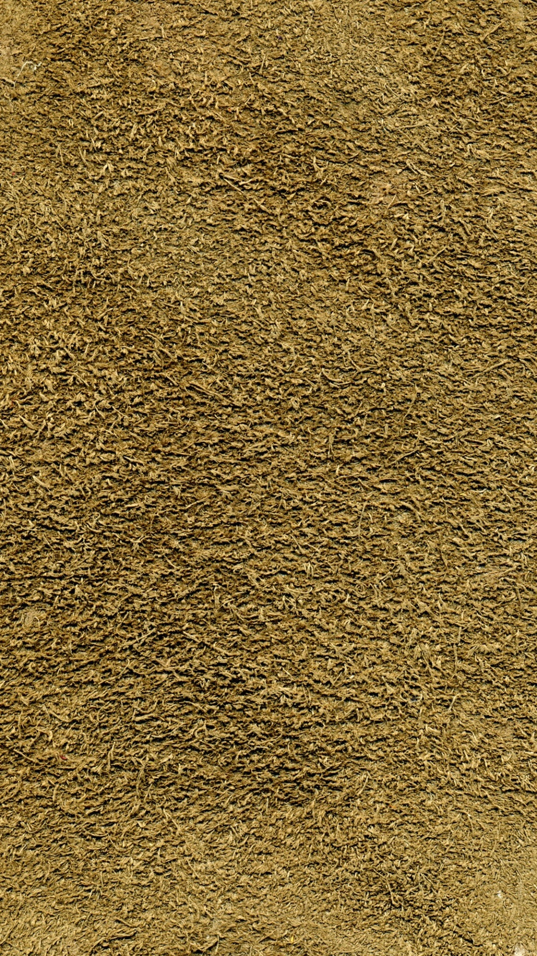 Обои трава, почва, материал в разрешении 1080x1920