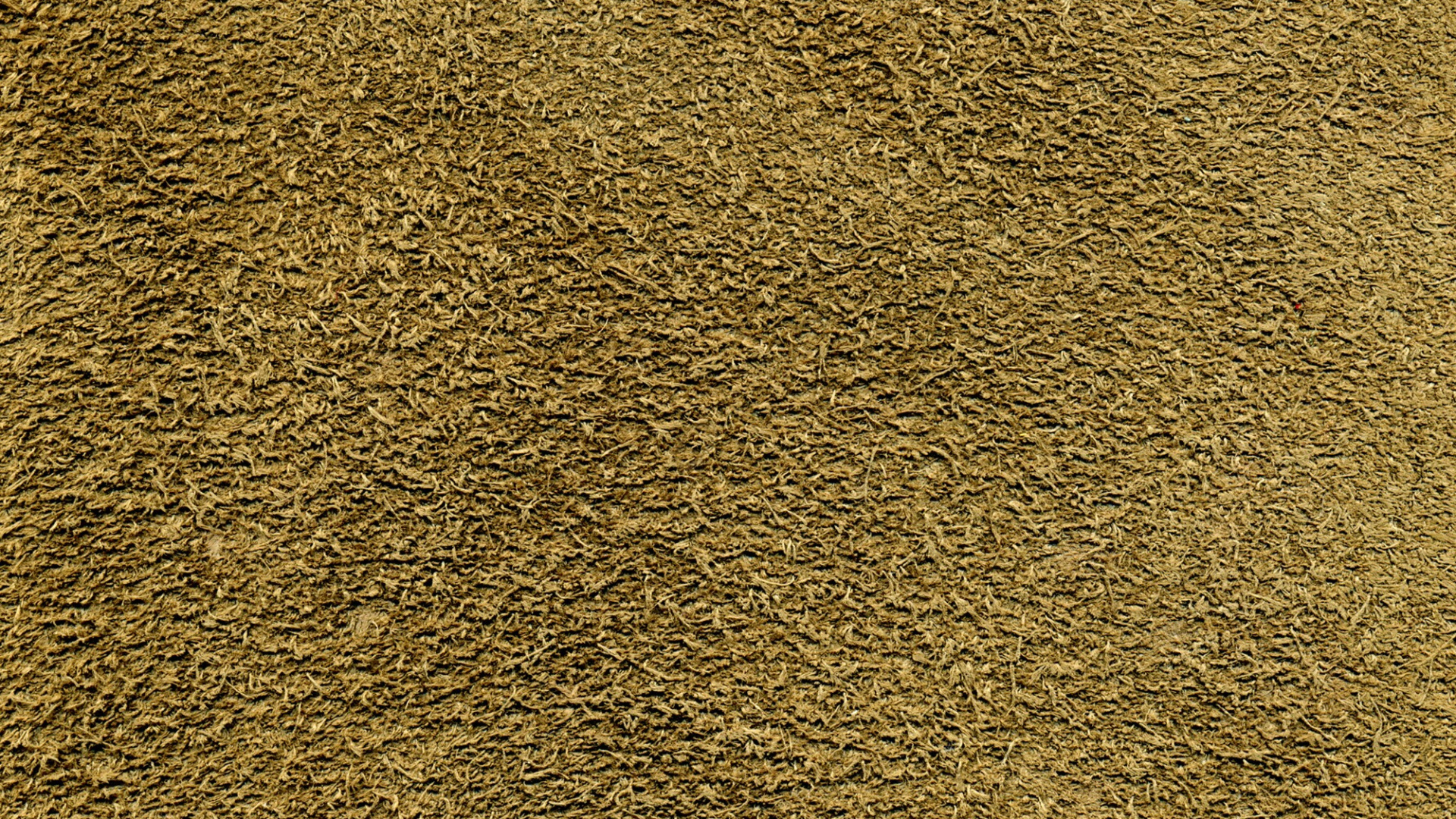 Обои трава, почва, материал в разрешении 1920x1080