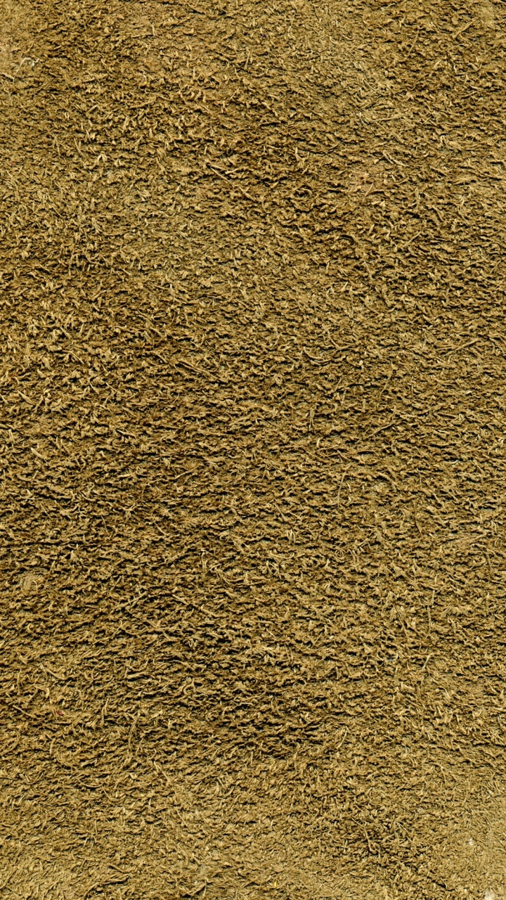 Обои трава, почва, материал в разрешении 720x1280