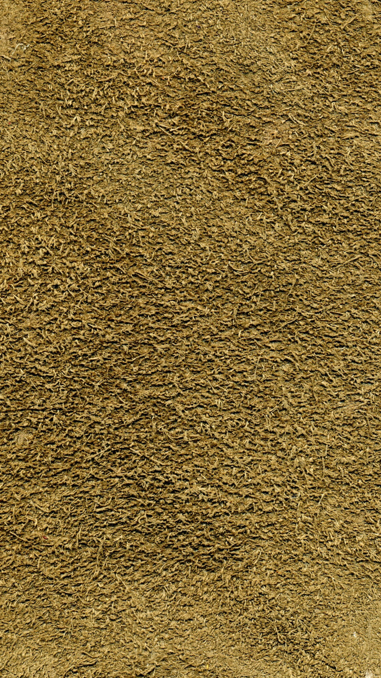 Обои трава, почва, материал в разрешении 750x1334
