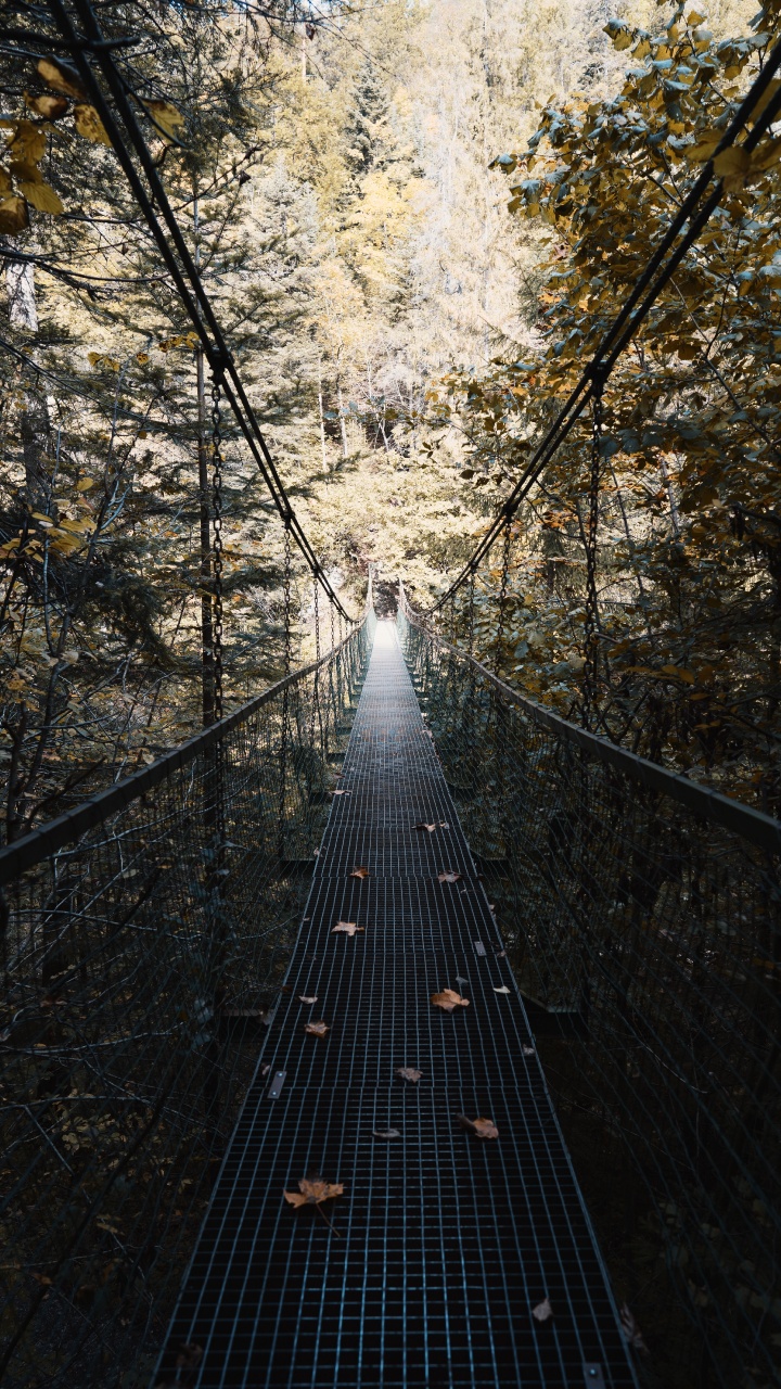 Обои дерево, подвесной мост, мост, природа, окружающая среда в разрешении 720x1280