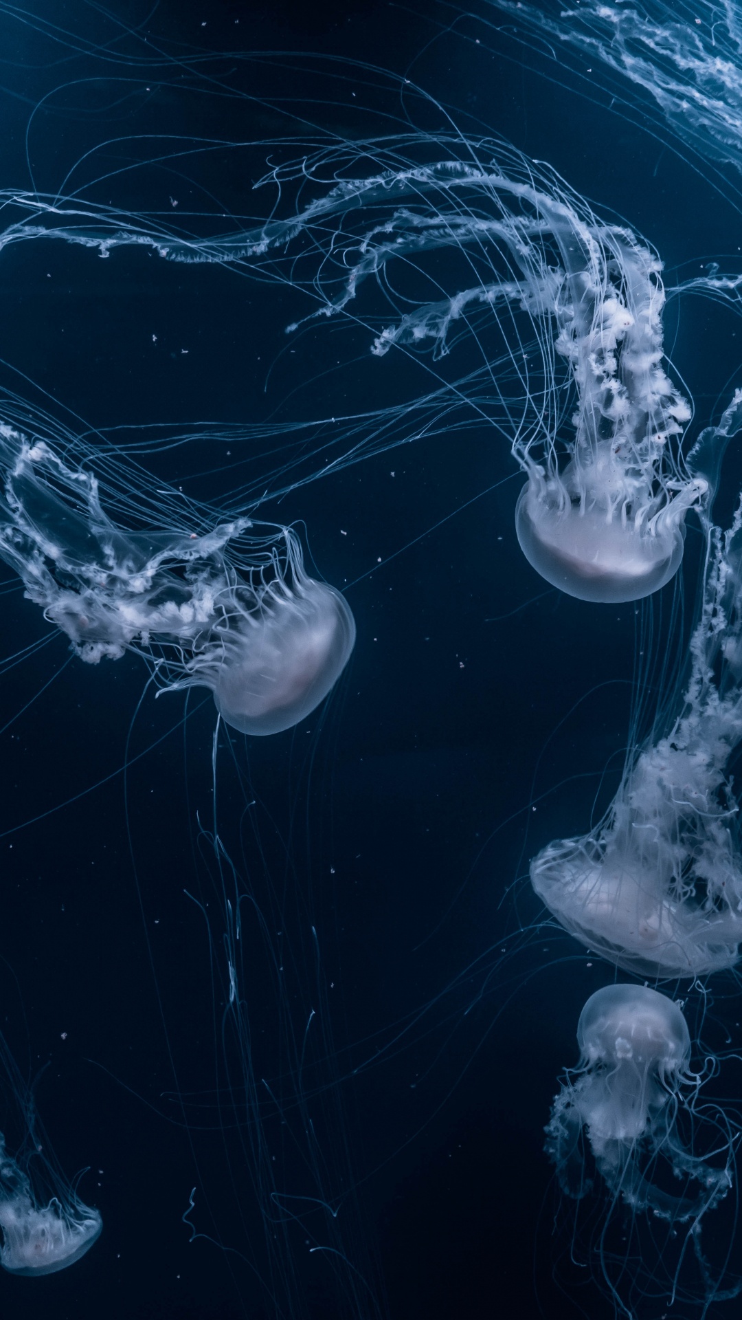 Обои эстетика, вода, жидкий, гидроресурсы, лазурный в разрешении 1080x1920