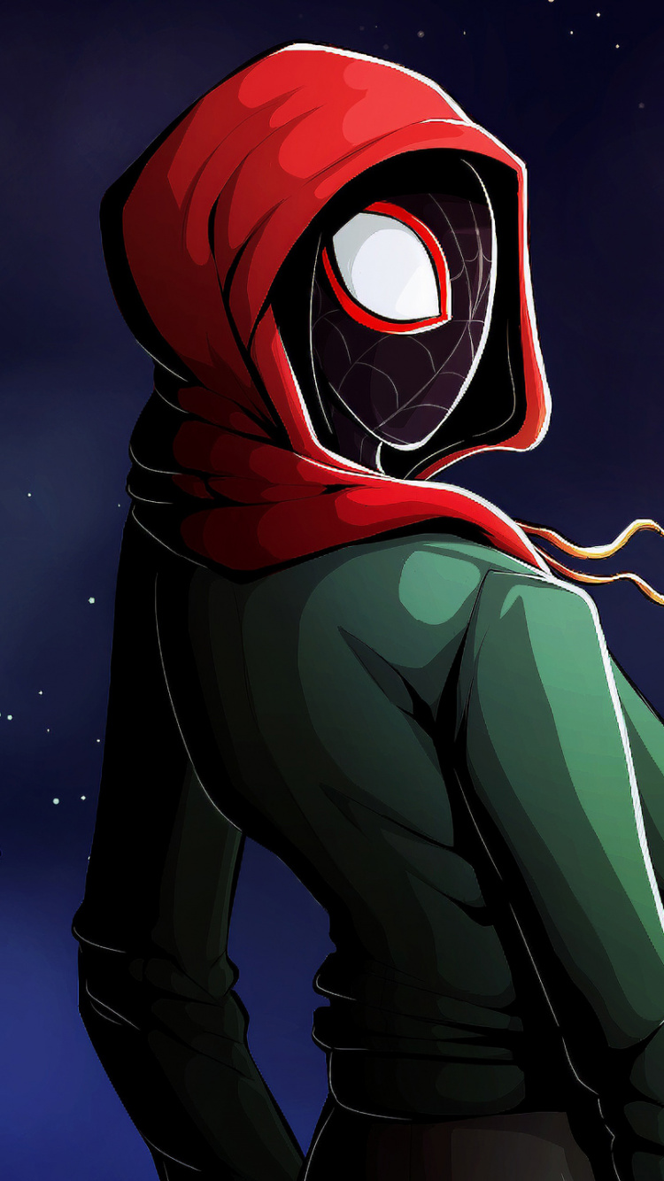 Обои супергерой, артист, космос, капюшон, верхняя одежда в разрешении 750x1334