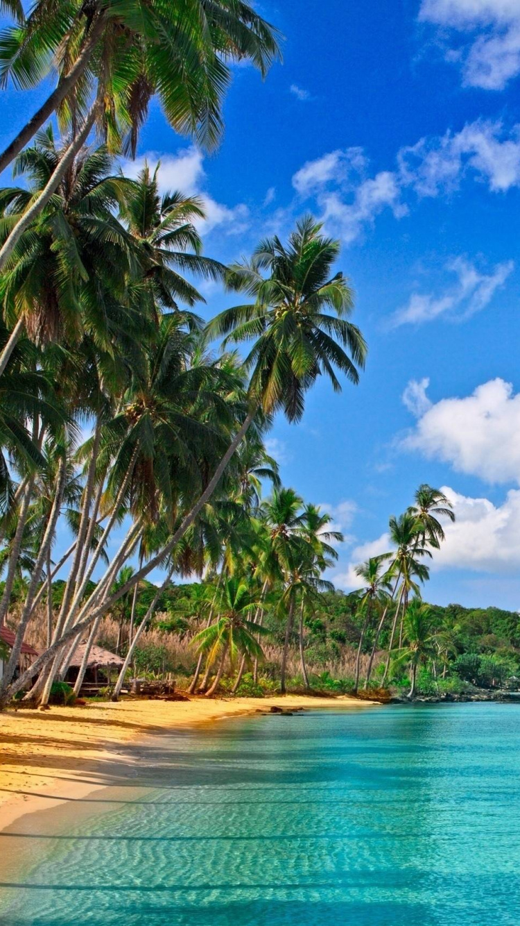 Обои пляж, тропическая зона, Карибский бассейн, море, прибрежные и океанические рельефы в разрешении 750x1334